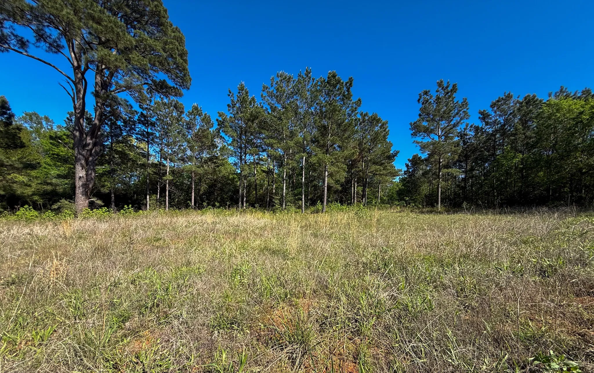 Single Family Residence For Sale in Cherokee County , 494 CR 4403, Jacksonville, Texas 75766, 4 Bedrooms, 3 Bathrooms, 2 Garage spaces, 2,787 Sqft, built in 2018, Price $675,000, mls#21318966, Real Estate Agent in Jacksonville, Homes For Sale in Cherokee county, Homes For Sale in Jacksonville, Realtor in Jacksonville Texas, Real Estate Brokerage Independent Realty Texas, Luminita Cordes Realtor