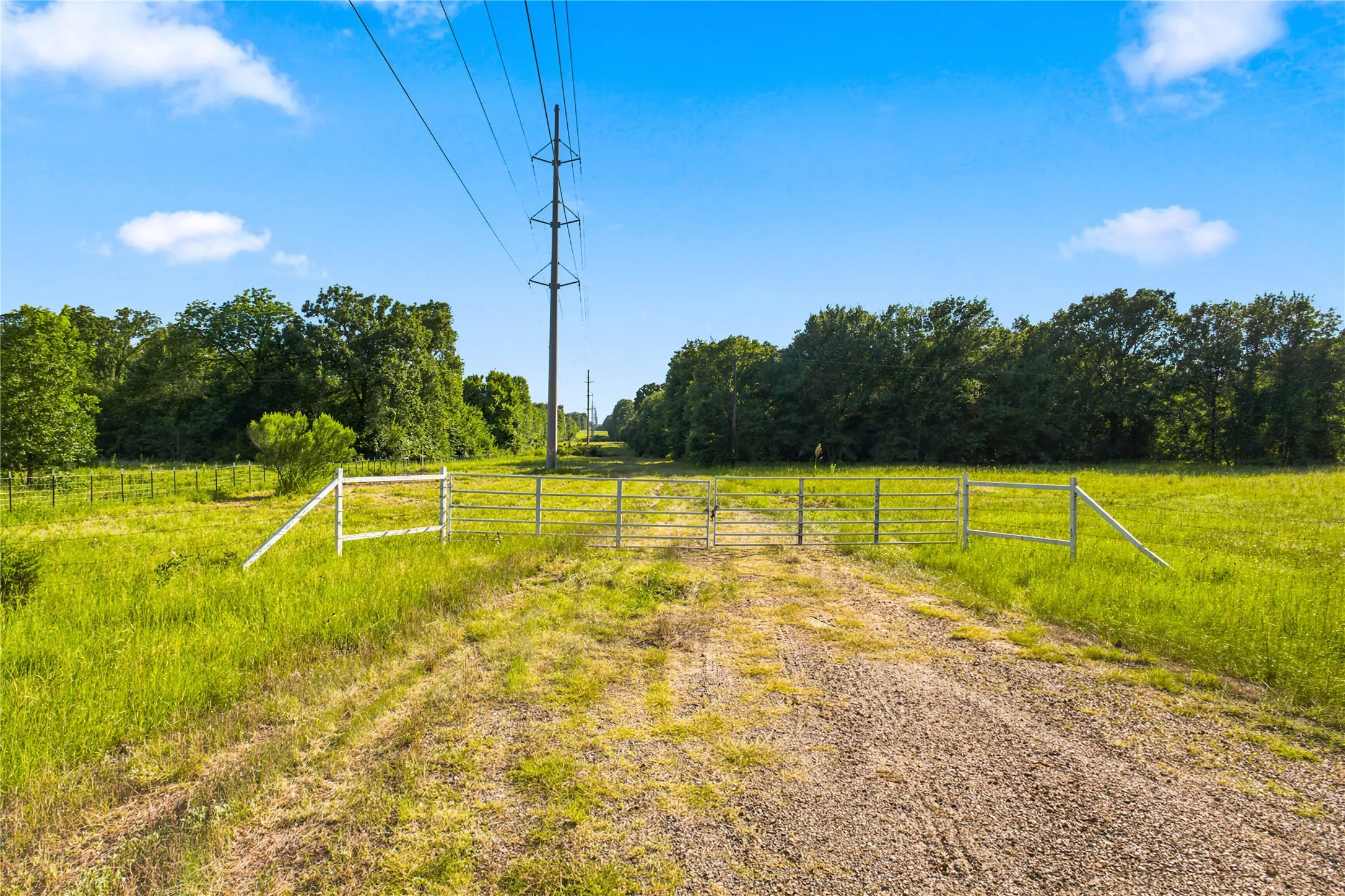 Unimproved Land For Sale in Delta County , 610 County Road 2040, Klondike, Texas 75448, 0, 0, Garage spaces, 0 Sqft, built in 0, mls#21318821, Real Estate Agent in Klondike, Homes For Sale in Delta county, Homes For Sale in Klondike, Realtor in Klondike Texas, Real Estate Brokerage Independent Realty Texas, Luminita Cordes Realtor