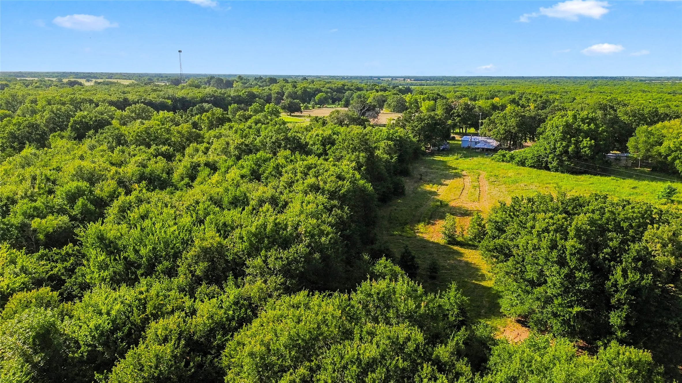 Unimproved Land For Sale in Delta County , 610 County Road 2040, Klondike, Texas 75448, 0, 0, Garage spaces, 0 Sqft, built in 0, mls#21318821, Real Estate Agent in Klondike, Homes For Sale in Delta county, Homes For Sale in Klondike, Realtor in Klondike Texas, Real Estate Brokerage Independent Realty Texas, Luminita Cordes Realtor