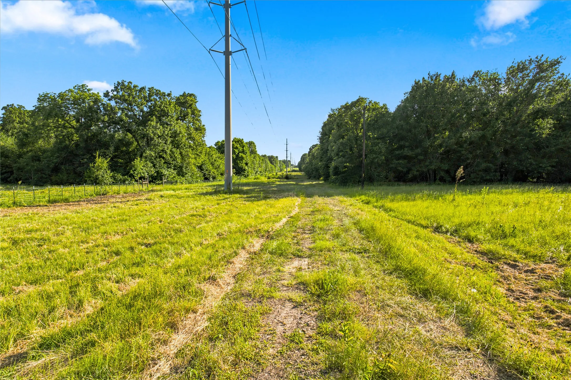 Unimproved Land For Sale in Delta County , 610 County Road 2040, Klondike, Texas 75448, 0, 0, Garage spaces, 0 Sqft, built in 0, mls#21318821, Real Estate Agent in Klondike, Homes For Sale in Delta county, Homes For Sale in Klondike, Realtor in Klondike Texas, Real Estate Brokerage Independent Realty Texas, Luminita Cordes Realtor