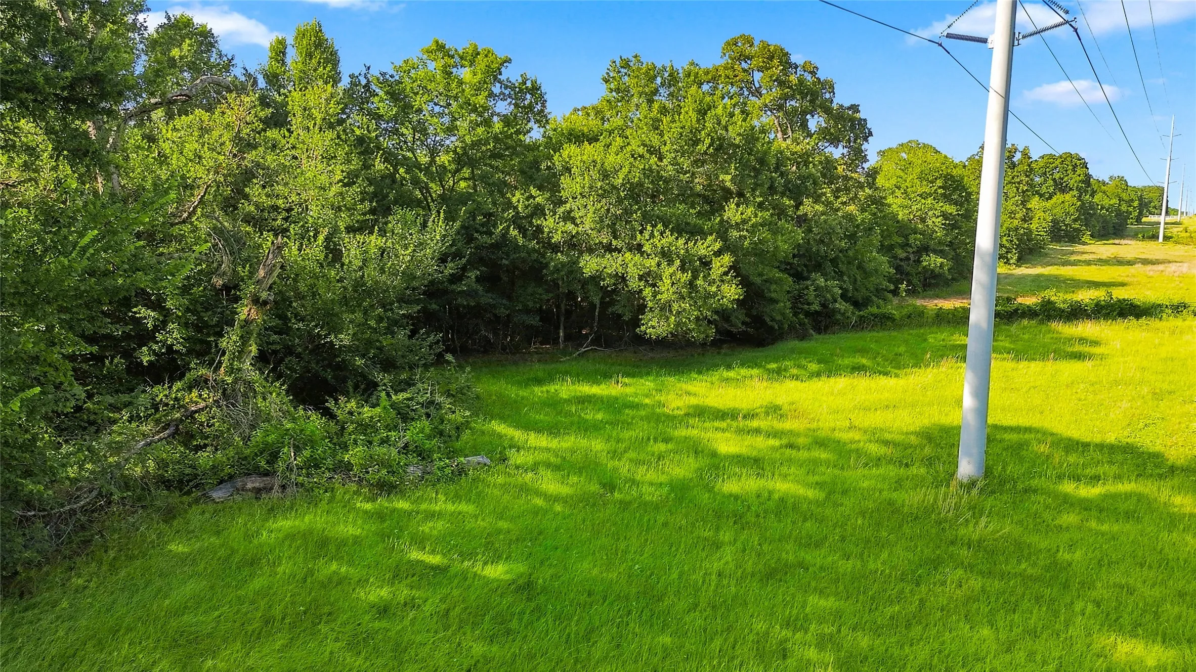 Unimproved Land For Sale in Delta County , 610 County Road 2040, Klondike, Texas 75448, 0, 0, Garage spaces, 0 Sqft, built in 0, mls#21318821, Real Estate Agent in Klondike, Homes For Sale in Delta county, Homes For Sale in Klondike, Realtor in Klondike Texas, Real Estate Brokerage Independent Realty Texas, Luminita Cordes Realtor