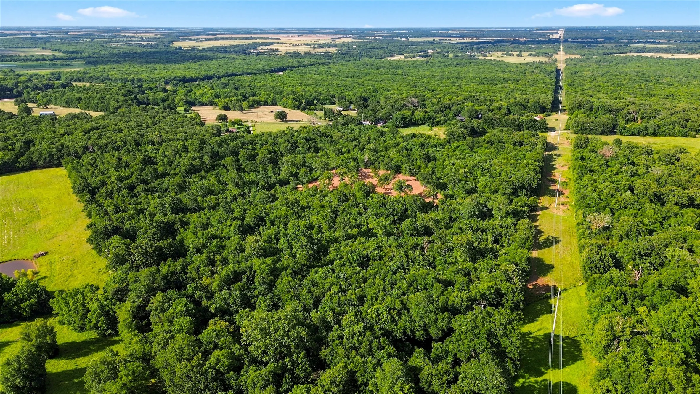 Unimproved Land For Sale in Delta County , 610 County Road 2040, Klondike, Texas 75448, 0, 0, Garage spaces, 0 Sqft, built in 0, mls#21318821, Real Estate Agent in Klondike, Homes For Sale in Delta county, Homes For Sale in Klondike, Realtor in Klondike Texas, Real Estate Brokerage Independent Realty Texas, Luminita Cordes Realtor