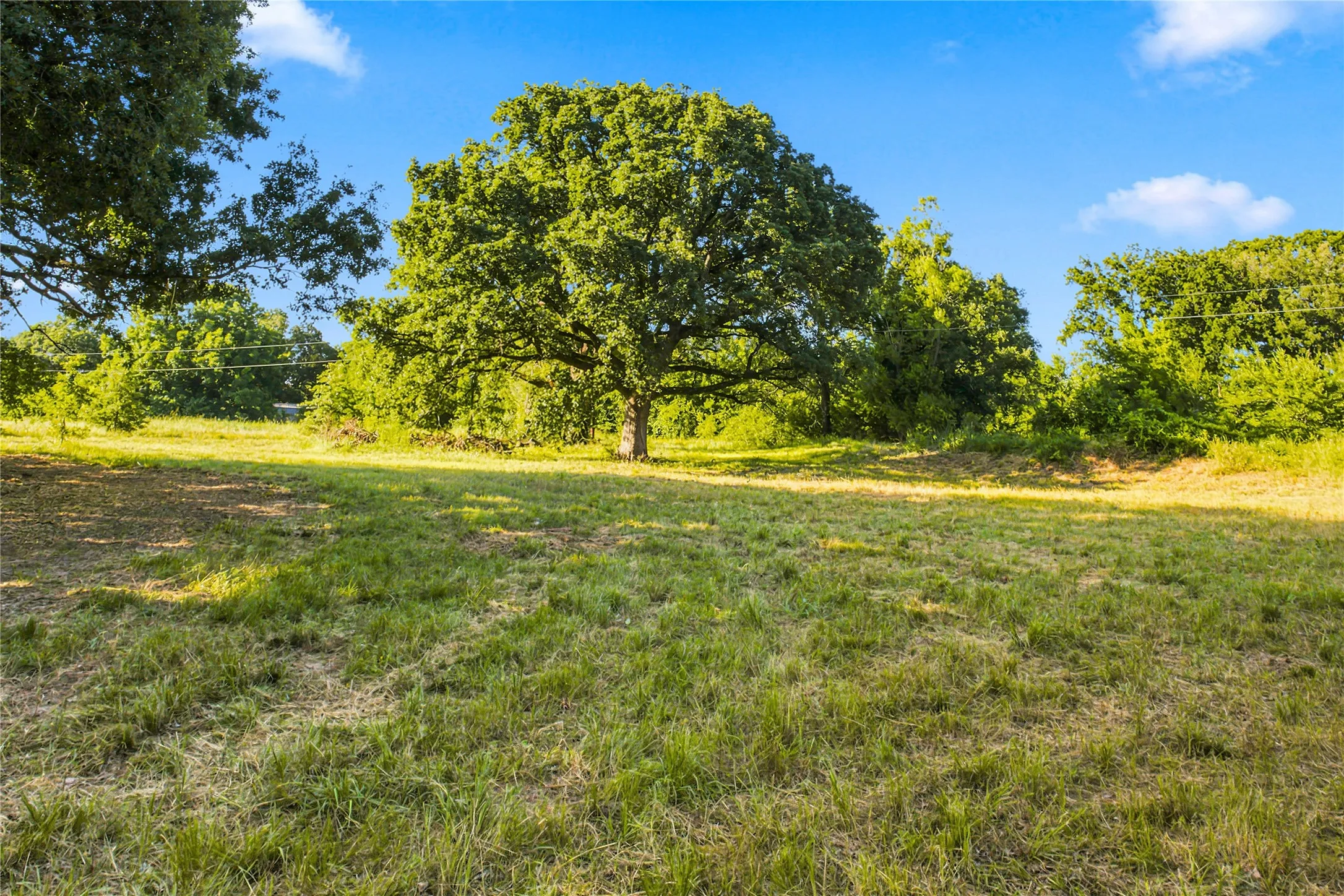Unimproved Land For Sale in Delta County , 610 County Road 2040, Klondike, Texas 75448, 0, 0, Garage spaces, 0 Sqft, built in 0, mls#21318821, Real Estate Agent in Klondike, Homes For Sale in Delta county, Homes For Sale in Klondike, Realtor in Klondike Texas, Real Estate Brokerage Independent Realty Texas, Luminita Cordes Realtor