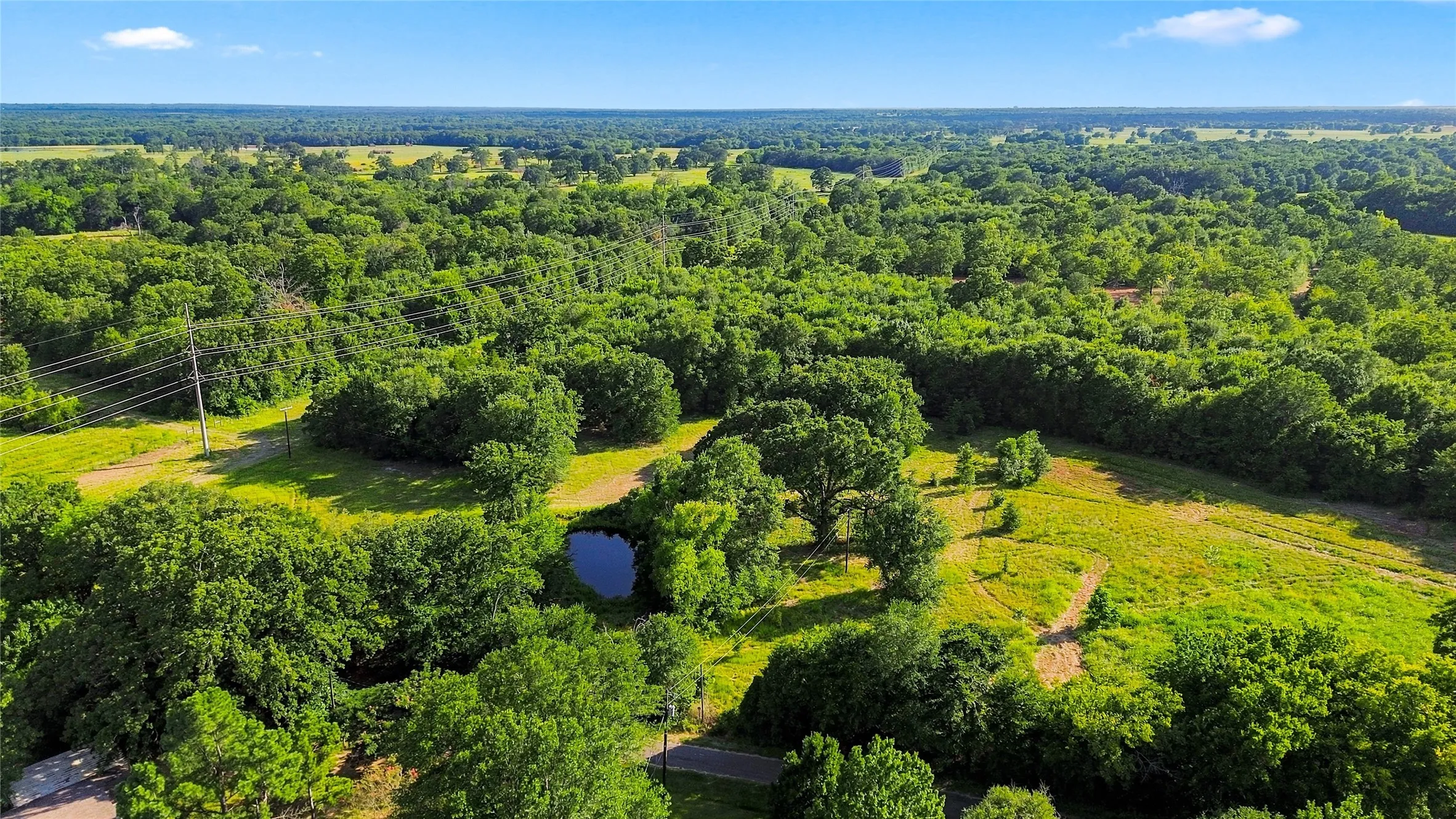 Unimproved Land For Sale in Delta County , 610 County Road 2040, Klondike, Texas 75448, 0, 0, Garage spaces, 0 Sqft, built in 0, mls#21318821, Real Estate Agent in Klondike, Homes For Sale in Delta county, Homes For Sale in Klondike, Realtor in Klondike Texas, Real Estate Brokerage Independent Realty Texas, Luminita Cordes Realtor