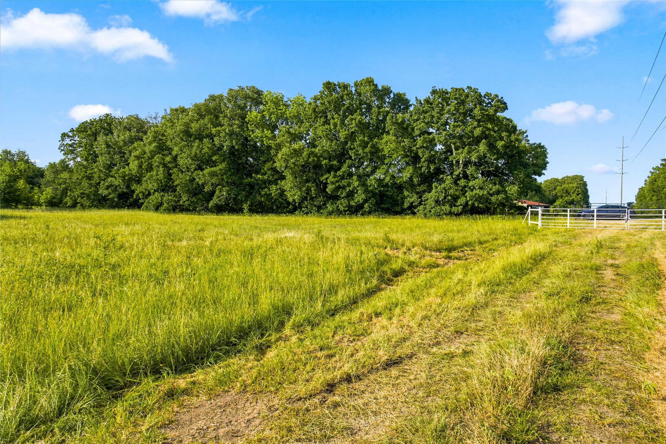Unimproved Land For Sale in Delta County , 610 County Road 2040, Klondike, Texas 75448, 0, 0, Garage spaces, 0 Sqft, built in 0, mls#21318821, Real Estate Agent in Klondike, Homes For Sale in Delta county, Homes For Sale in Klondike, Realtor in Klondike Texas, Real Estate Brokerage Independent Realty Texas, Luminita Cordes Realtor