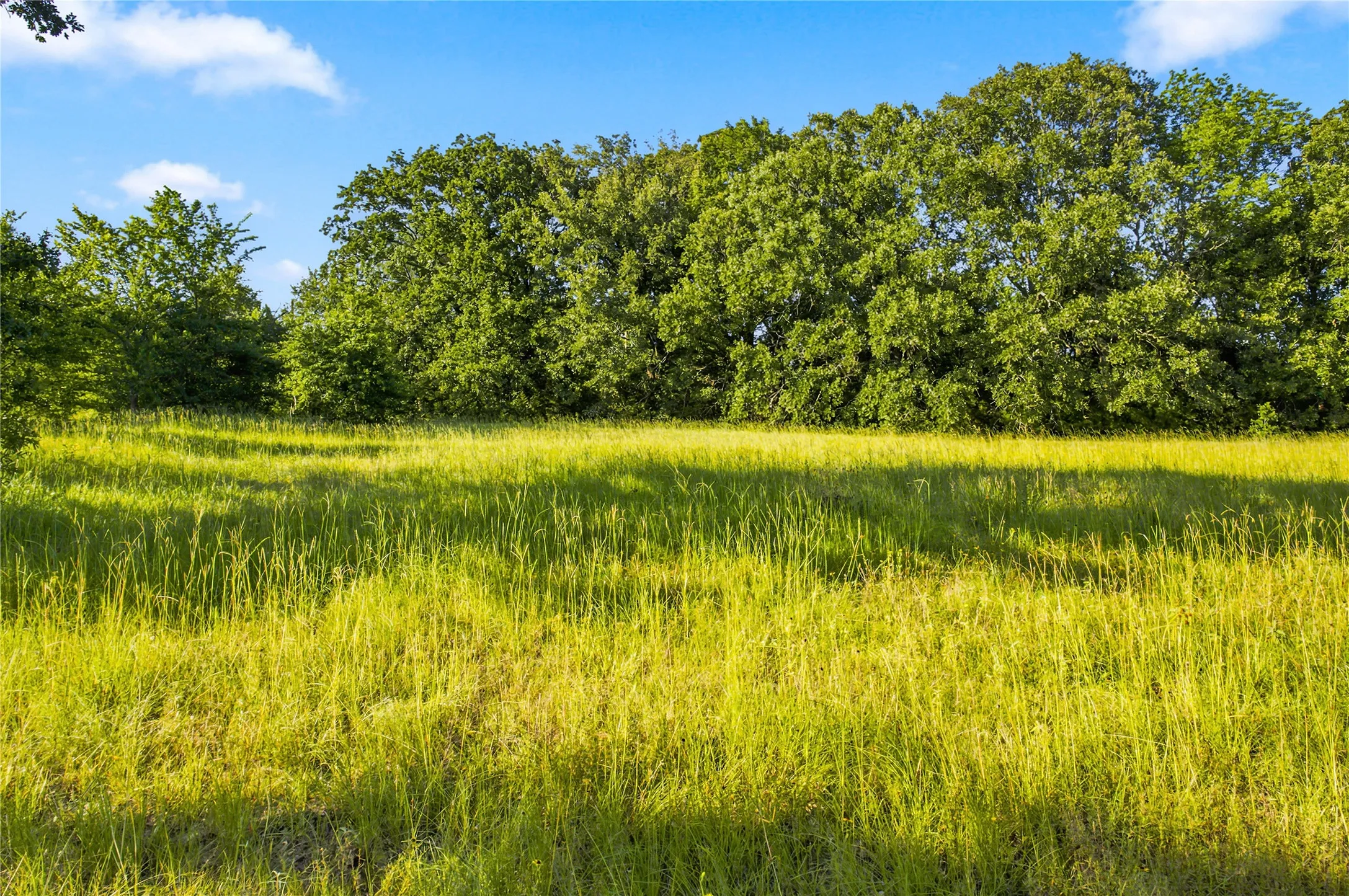 Unimproved Land For Sale in Delta County , 610 County Road 2040, Klondike, Texas 75448, 0, 0, Garage spaces, 0 Sqft, built in 0, mls#21318821, Real Estate Agent in Klondike, Homes For Sale in Delta county, Homes For Sale in Klondike, Realtor in Klondike Texas, Real Estate Brokerage Independent Realty Texas, Luminita Cordes Realtor