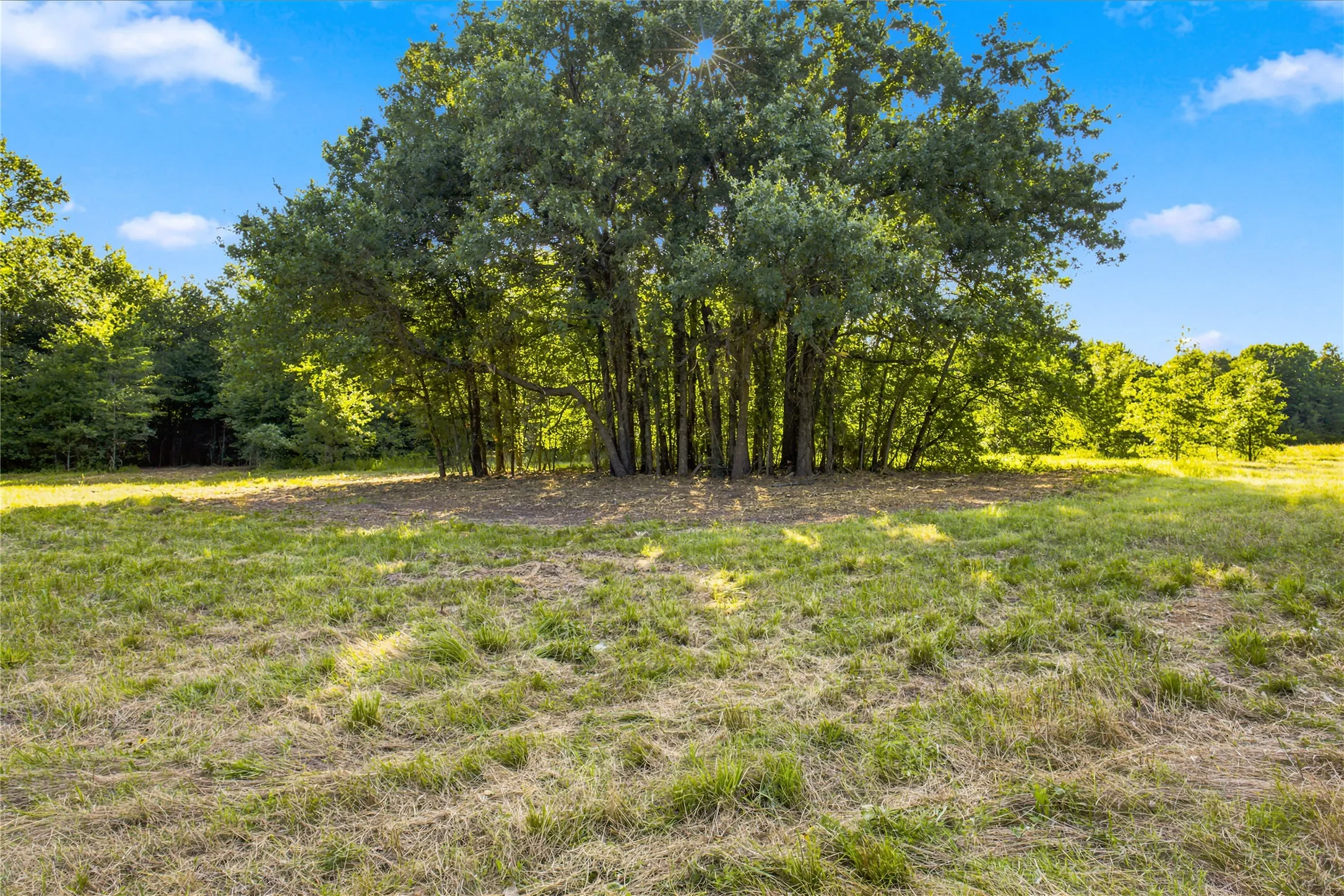 Unimproved Land For Sale in Delta County , 610 County Road 2040, Klondike, Texas 75448, 0, 0, Garage spaces, 0 Sqft, built in 0, mls#21318821, Real Estate Agent in Klondike, Homes For Sale in Delta county, Homes For Sale in Klondike, Realtor in Klondike Texas, Real Estate Brokerage Independent Realty Texas, Luminita Cordes Realtor