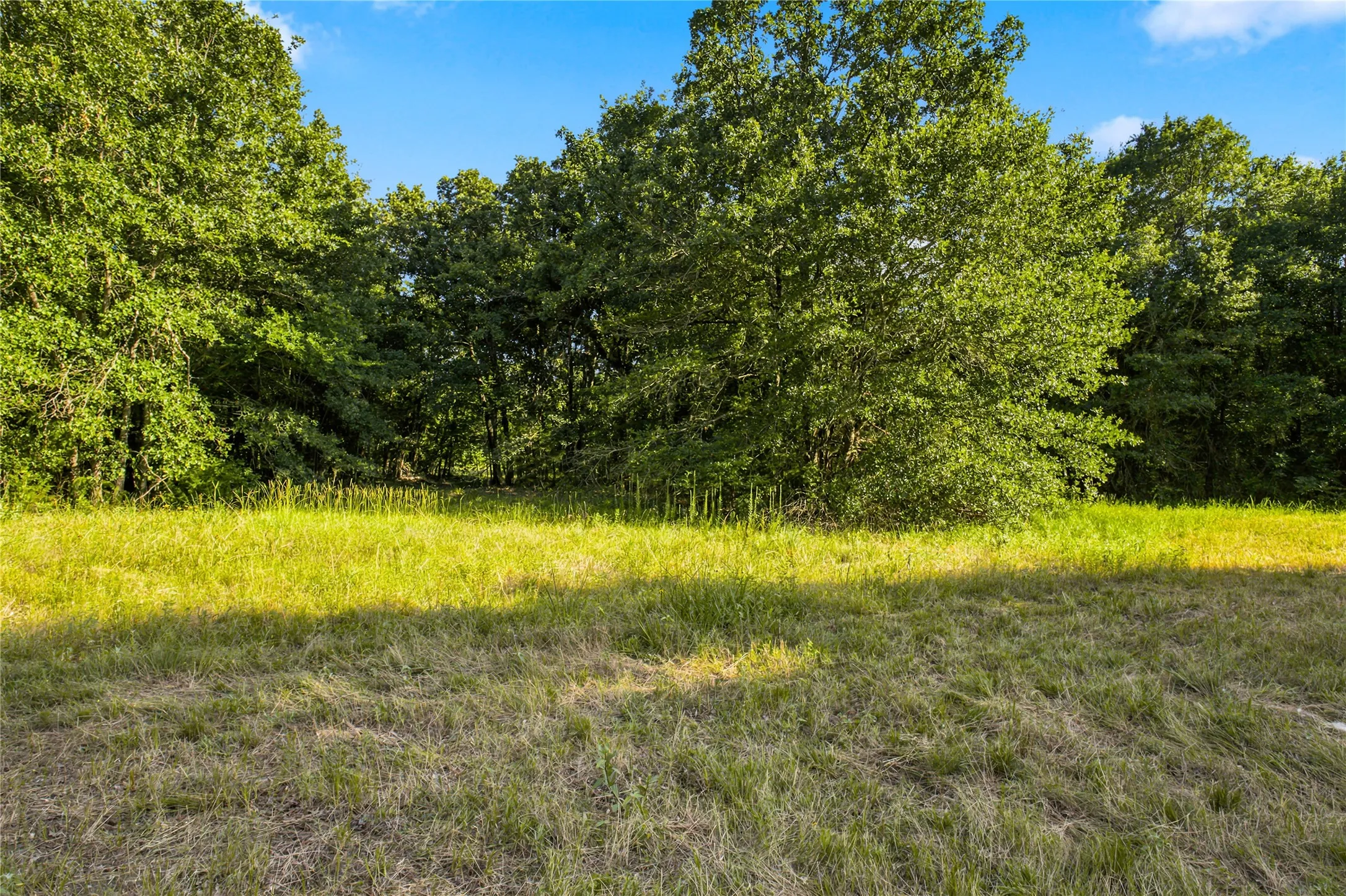 Unimproved Land For Sale in Delta County , 610 County Road 2040, Klondike, Texas 75448, 0, 0, Garage spaces, 0 Sqft, built in 0, mls#21318821, Real Estate Agent in Klondike, Homes For Sale in Delta county, Homes For Sale in Klondike, Realtor in Klondike Texas, Real Estate Brokerage Independent Realty Texas, Luminita Cordes Realtor