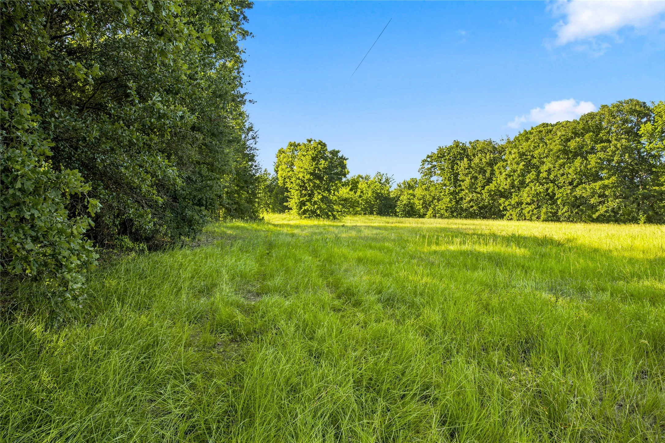 Unimproved Land For Sale in Delta County , 610 County Road 2040, Klondike, Texas 75448, 0, 0, Garage spaces, 0 Sqft, built in 0, mls#21318821, Real Estate Agent in Klondike, Homes For Sale in Delta county, Homes For Sale in Klondike, Realtor in Klondike Texas, Real Estate Brokerage Independent Realty Texas, Luminita Cordes Realtor