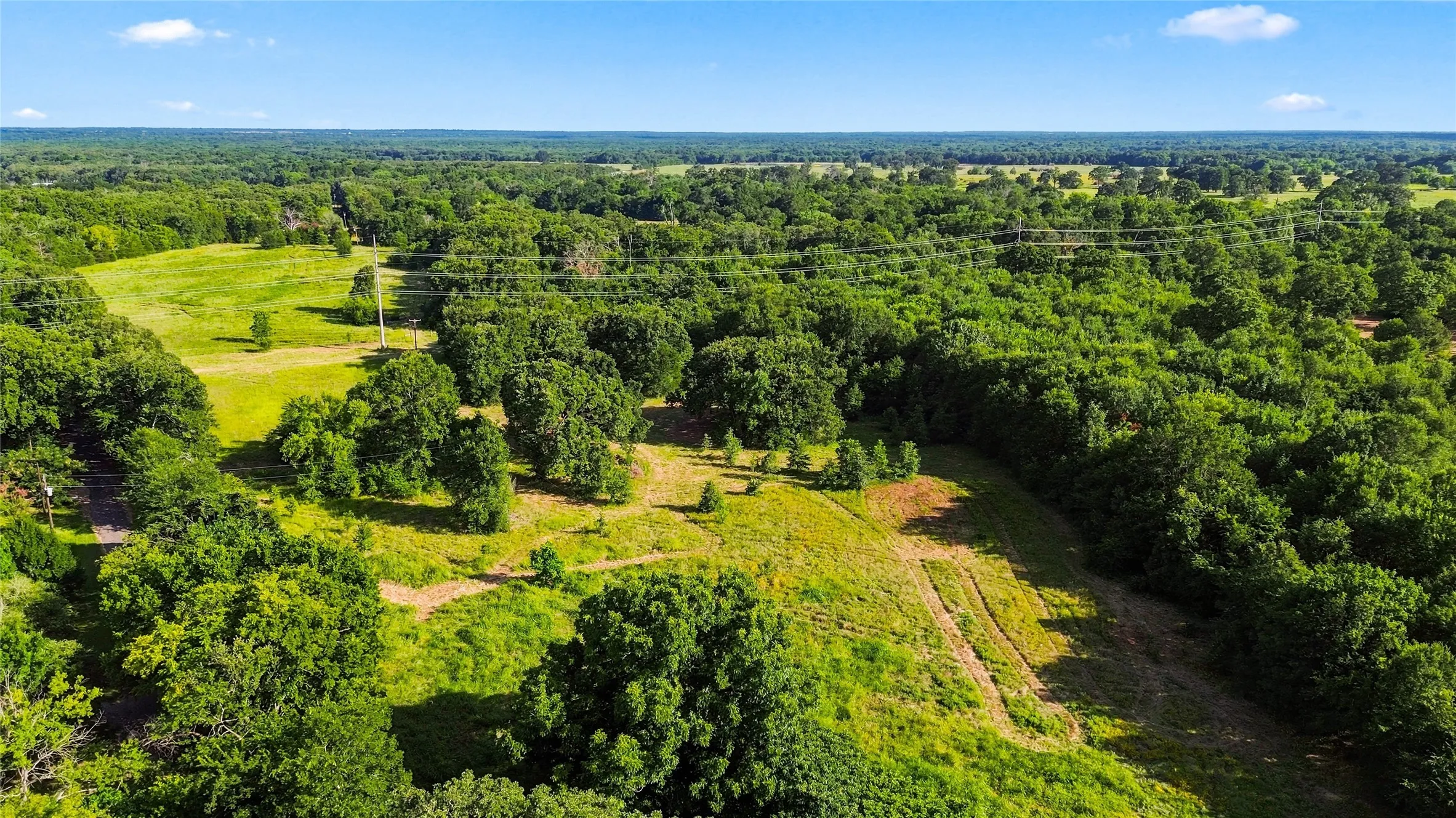 Unimproved Land For Sale in Delta County , 610 County Road 2040, Klondike, Texas 75448, 0, 0, Garage spaces, 0 Sqft, built in 0, mls#21318821, Real Estate Agent in Klondike, Homes For Sale in Delta county, Homes For Sale in Klondike, Realtor in Klondike Texas, Real Estate Brokerage Independent Realty Texas, Luminita Cordes Realtor
