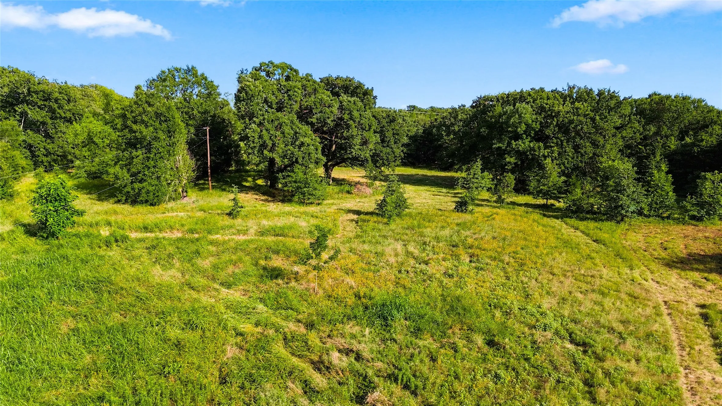 Unimproved Land For Sale in Delta County , 610 County Road 2040, Klondike, Texas 75448, 0, 0, Garage spaces, 0 Sqft, built in 0, mls#21318821, Real Estate Agent in Klondike, Homes For Sale in Delta county, Homes For Sale in Klondike, Realtor in Klondike Texas, Real Estate Brokerage Independent Realty Texas, Luminita Cordes Realtor