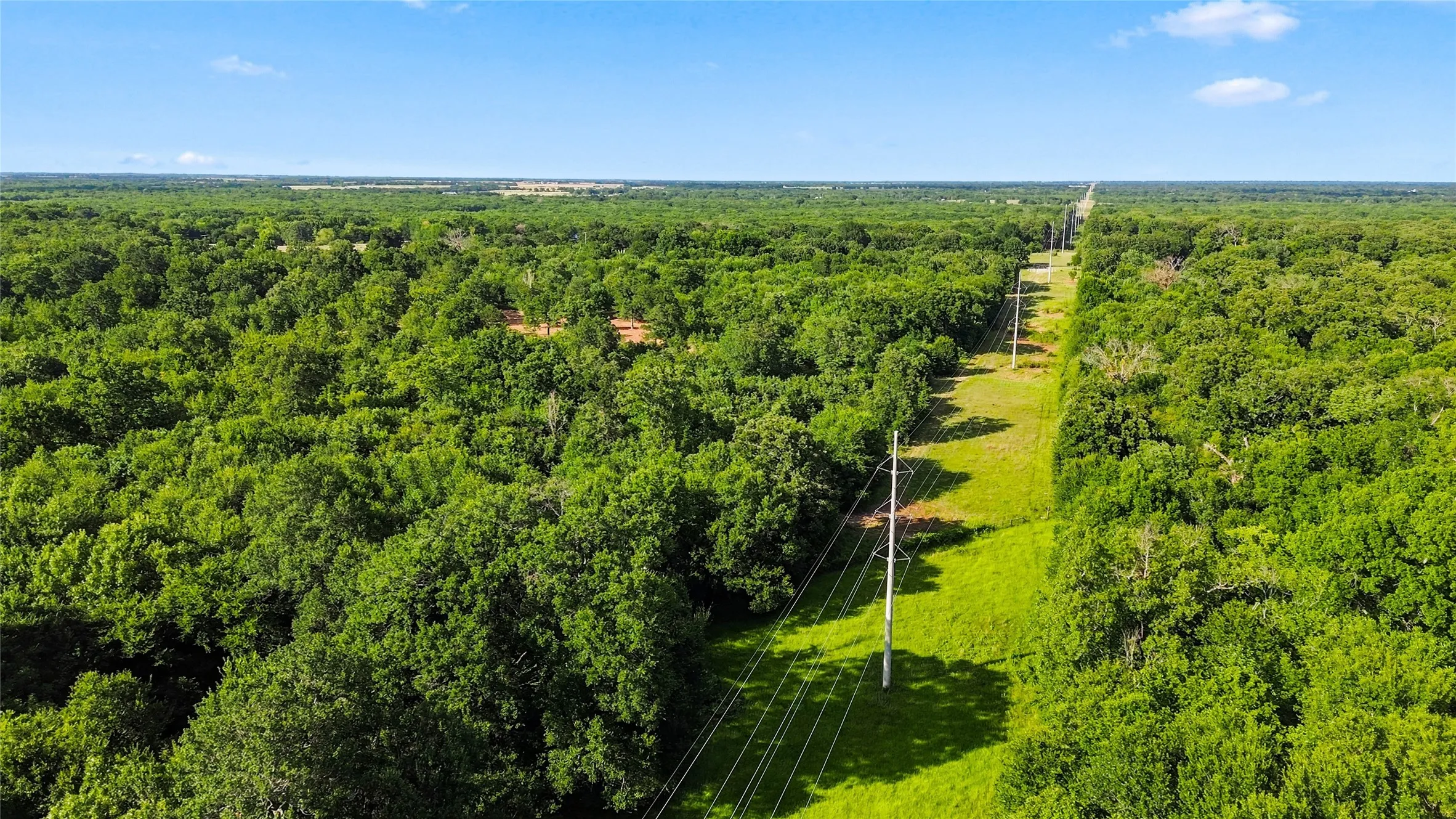 Unimproved Land For Sale in Delta County , 610 County Road 2040, Klondike, Texas 75448, 0, 0, Garage spaces, 0 Sqft, built in 0, mls#21318821, Real Estate Agent in Klondike, Homes For Sale in Delta county, Homes For Sale in Klondike, Realtor in Klondike Texas, Real Estate Brokerage Independent Realty Texas, Luminita Cordes Realtor