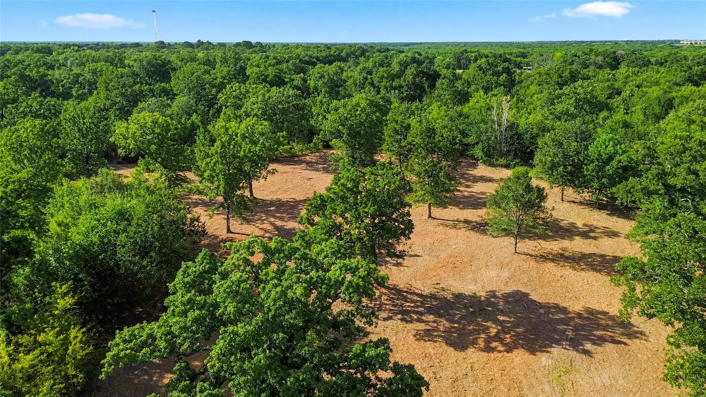 Unimproved Land For Sale in Delta County , 610 County Road 2040, Klondike, Texas 75448, 0, 0, Garage spaces, 0 Sqft, built in 0, mls#21318821, Real Estate Agent in Klondike, Homes For Sale in Delta county, Homes For Sale in Klondike, Realtor in Klondike Texas, Real Estate Brokerage Independent Realty Texas, Luminita Cordes Realtor