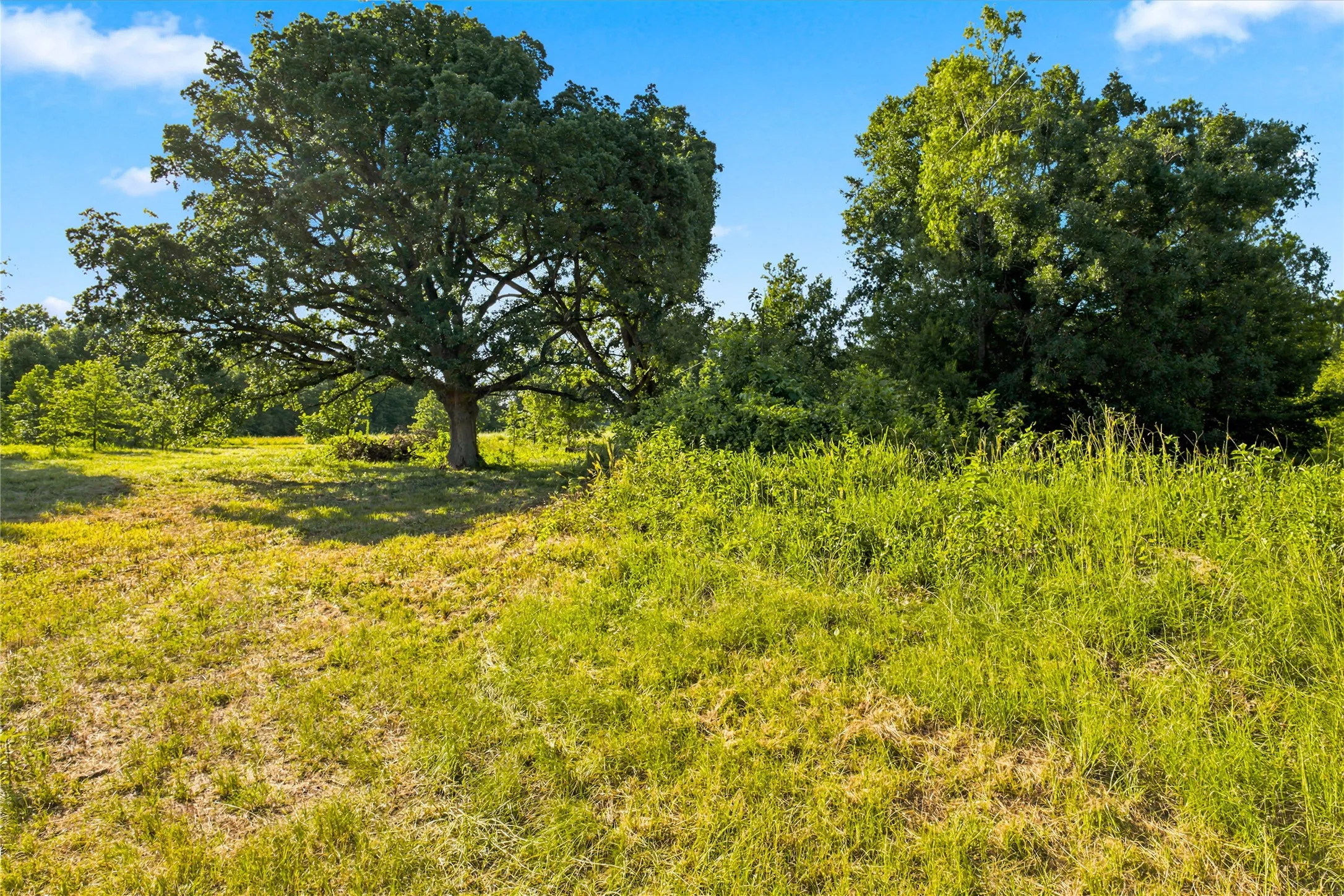 Unimproved Land For Sale in Delta County , 610 County Road 2040, Klondike, Texas 75448, 0, 0, Garage spaces, 0 Sqft, built in 0, mls#21318821, Real Estate Agent in Klondike, Homes For Sale in Delta county, Homes For Sale in Klondike, Realtor in Klondike Texas, Real Estate Brokerage Independent Realty Texas, Luminita Cordes Realtor