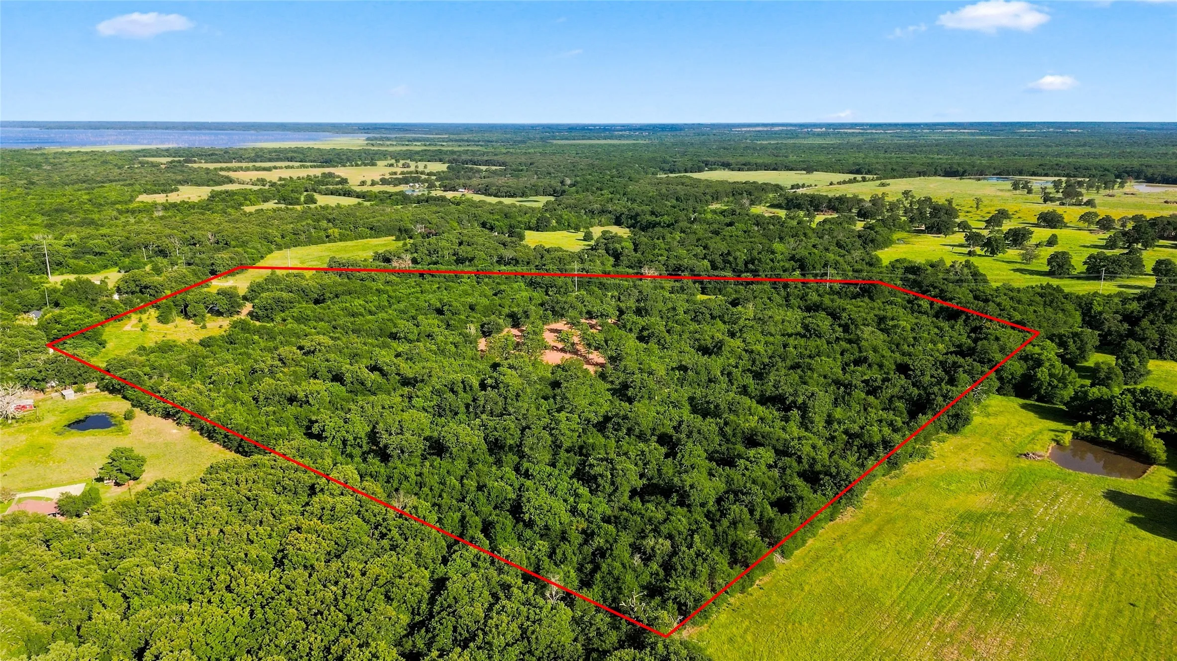 Unimproved Land For Sale in Delta County , 610 County Road 2040, Klondike, Texas 75448, 0, 0, Garage spaces, 0 Sqft, built in 0, mls#21318821, Real Estate Agent in Klondike, Homes For Sale in Delta county, Homes For Sale in Klondike, Realtor in Klondike Texas, Real Estate Brokerage Independent Realty Texas, Luminita Cordes Realtor