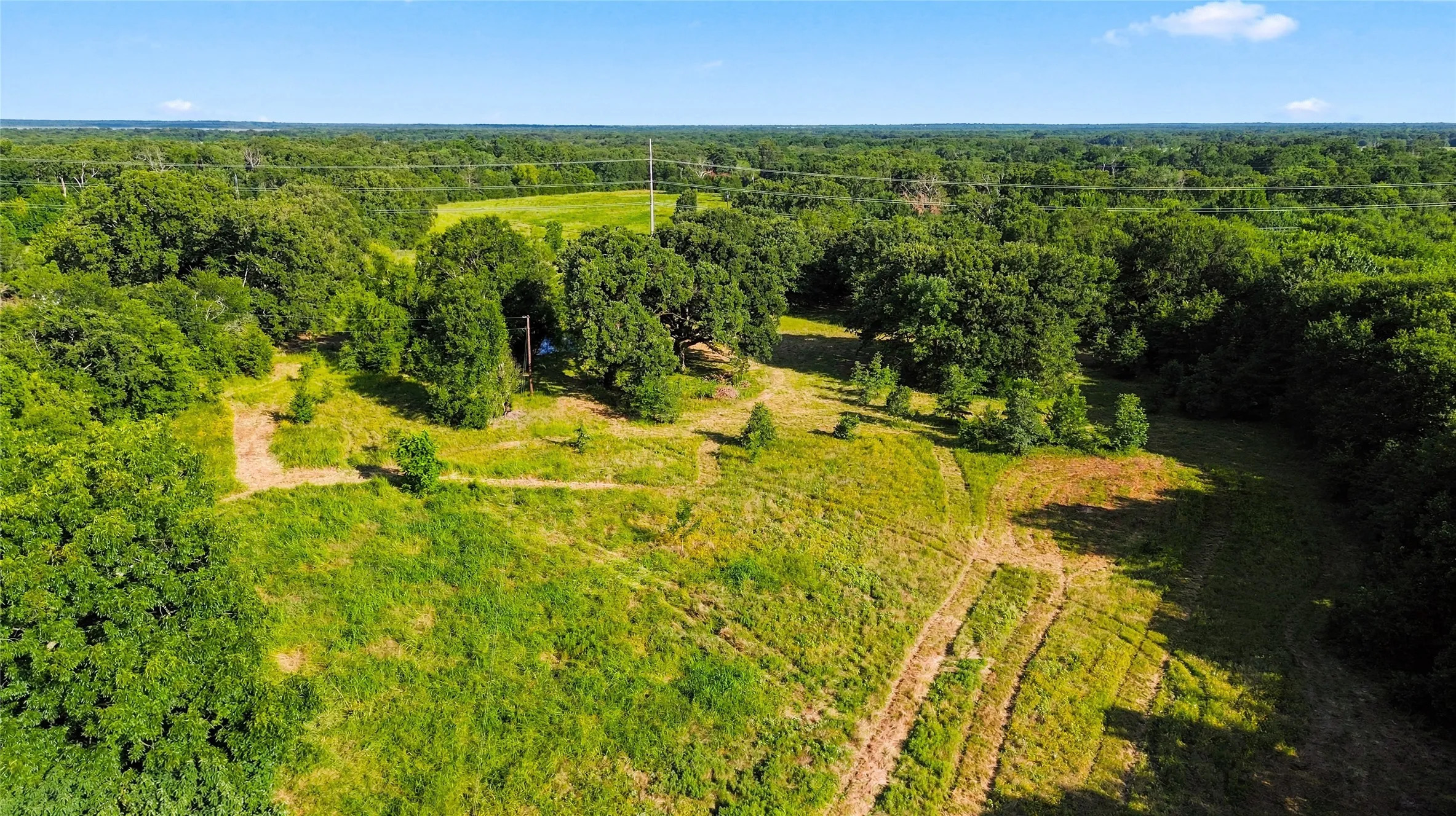 Unimproved Land For Sale in Delta County , 610 County Road 2040, Klondike, Texas 75448, 0, 0, Garage spaces, 0 Sqft, built in 0, mls#21318821, Real Estate Agent in Klondike, Homes For Sale in Delta county, Homes For Sale in Klondike, Realtor in Klondike Texas, Real Estate Brokerage Independent Realty Texas, Luminita Cordes Realtor
