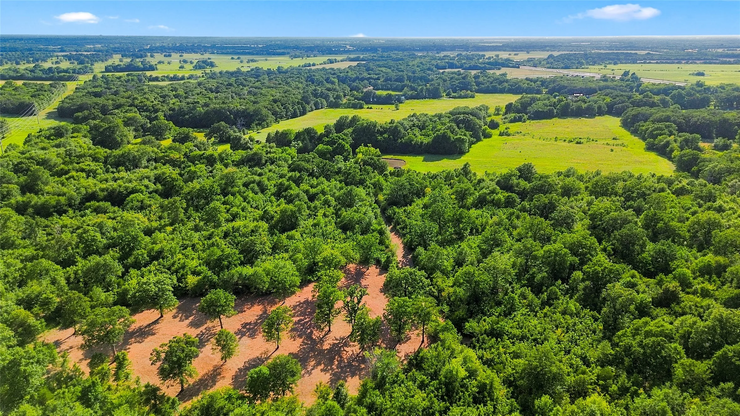 Unimproved Land For Sale in Delta County , 610 County Road 2040, Klondike, Texas 75448, 0, 0, Garage spaces, 0 Sqft, built in 0, mls#21318821, Real Estate Agent in Klondike, Homes For Sale in Delta county, Homes For Sale in Klondike, Realtor in Klondike Texas, Real Estate Brokerage Independent Realty Texas, Luminita Cordes Realtor