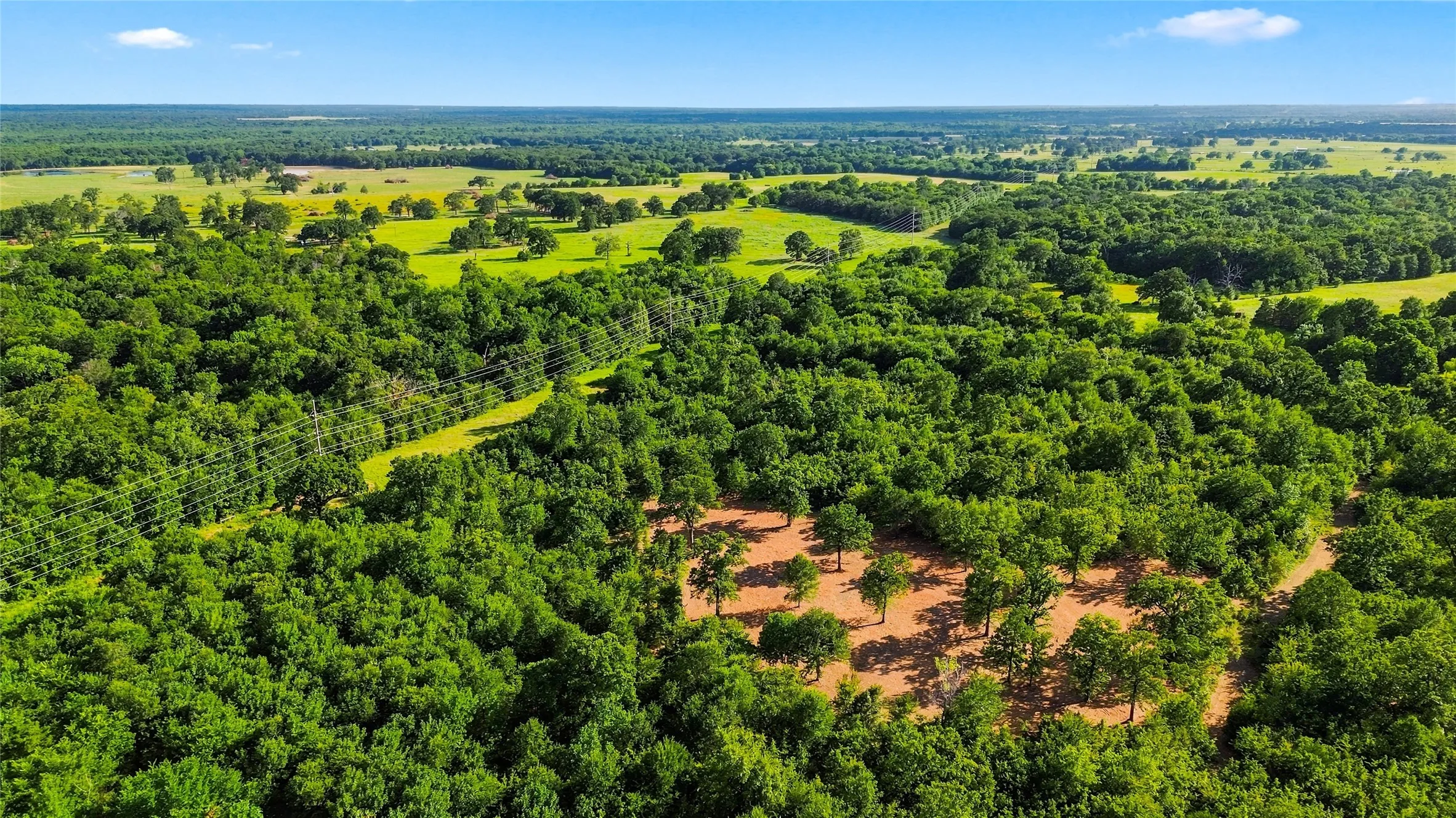Unimproved Land For Sale in Delta County , 610 County Road 2040, Klondike, Texas 75448, 0, 0, Garage spaces, 0 Sqft, built in 0, mls#21318821, Real Estate Agent in Klondike, Homes For Sale in Delta county, Homes For Sale in Klondike, Realtor in Klondike Texas, Real Estate Brokerage Independent Realty Texas, Luminita Cordes Realtor