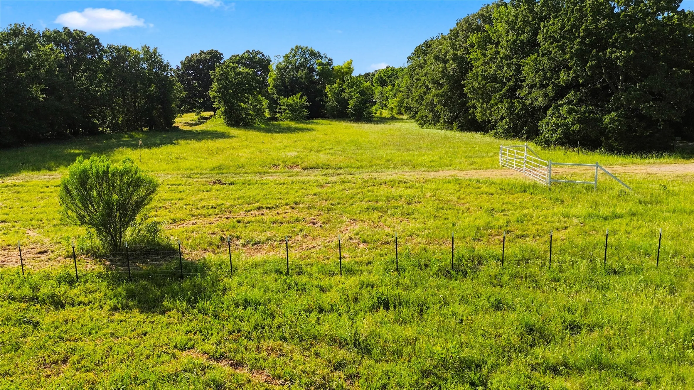 Unimproved Land For Sale in Delta County , 610 County Road 2040, Klondike, Texas 75448, 0, 0, Garage spaces, 0 Sqft, built in 0, mls#21318821, Real Estate Agent in Klondike, Homes For Sale in Delta county, Homes For Sale in Klondike, Realtor in Klondike Texas, Real Estate Brokerage Independent Realty Texas, Luminita Cordes Realtor