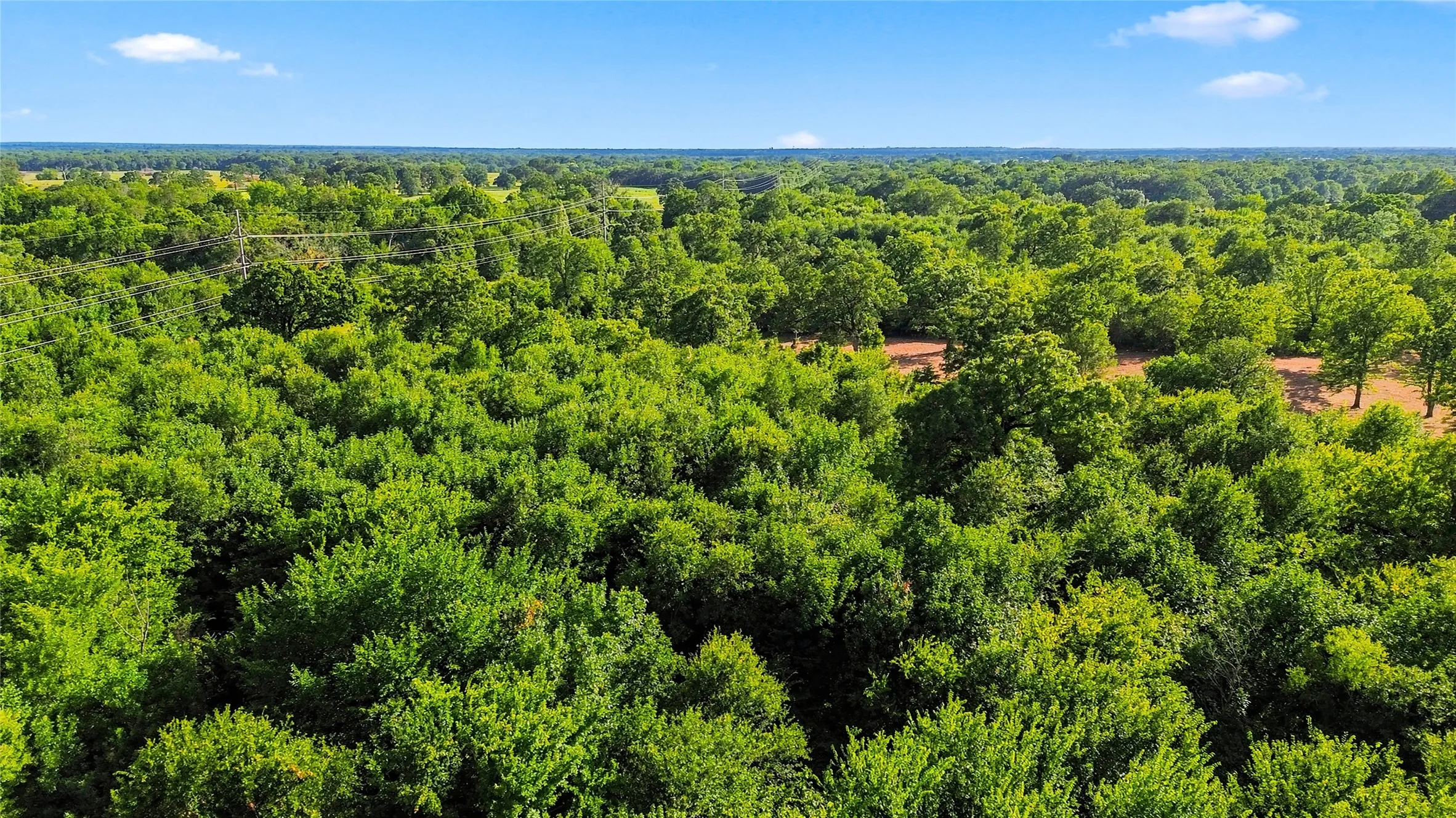 Unimproved Land For Sale in Delta County , 610 County Road 2040, Klondike, Texas 75448, 0, 0, Garage spaces, 0 Sqft, built in 0, mls#21318821, Real Estate Agent in Klondike, Homes For Sale in Delta county, Homes For Sale in Klondike, Realtor in Klondike Texas, Real Estate Brokerage Independent Realty Texas, Luminita Cordes Realtor