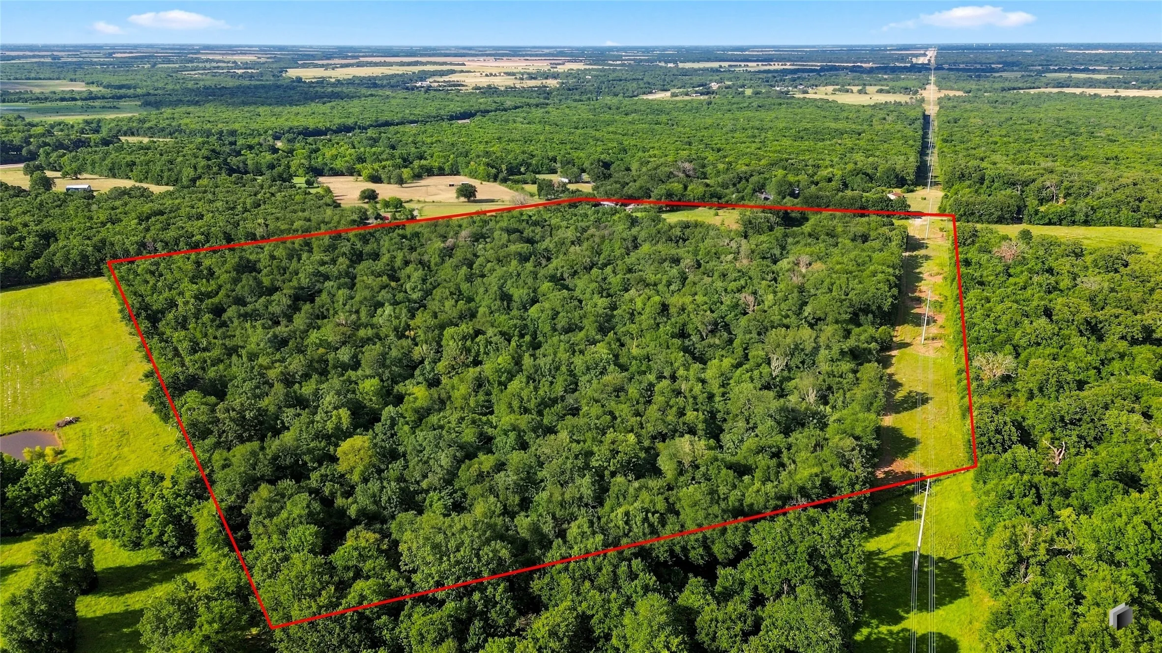 Unimproved Land For Sale in Delta County , 610 County Road 2040, Klondike, Texas 75448, 0, 0, Garage spaces, 0 Sqft, built in 0, mls#21318821, Real Estate Agent in Klondike, Homes For Sale in Delta county, Homes For Sale in Klondike, Realtor in Klondike Texas, Real Estate Brokerage Independent Realty Texas, Luminita Cordes Realtor