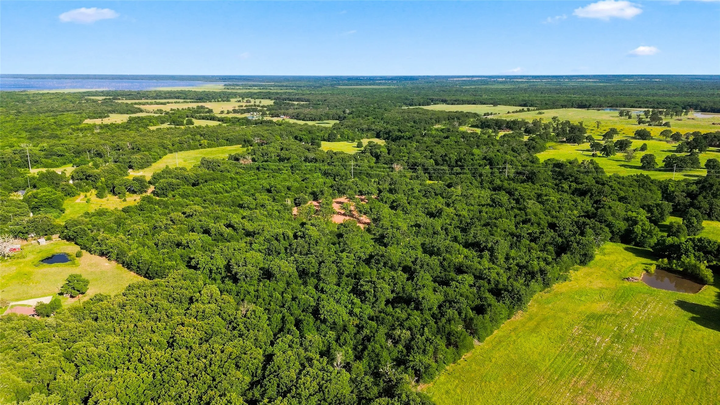Unimproved Land For Sale in Delta County , 610 County Road 2040, Klondike, Texas 75448, 0, 0, Garage spaces, 0 Sqft, built in 0, mls#21318821, Real Estate Agent in Klondike, Homes For Sale in Delta county, Homes For Sale in Klondike, Realtor in Klondike Texas, Real Estate Brokerage Independent Realty Texas, Luminita Cordes Realtor