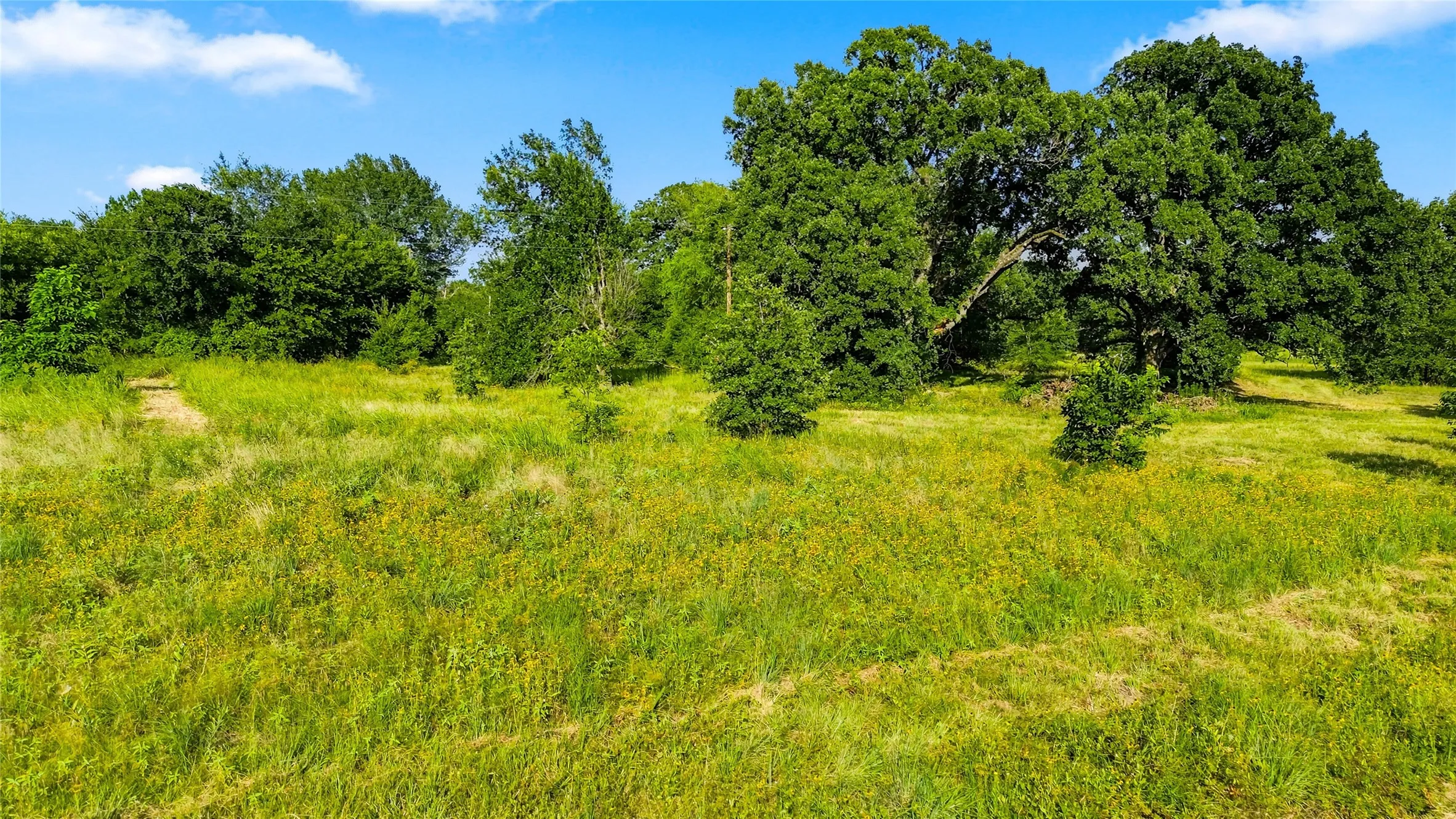 Unimproved Land For Sale in Delta County , 610 County Road 2040, Klondike, Texas 75448, 0, 0, Garage spaces, 0 Sqft, built in 0, mls#21318821, Real Estate Agent in Klondike, Homes For Sale in Delta county, Homes For Sale in Klondike, Realtor in Klondike Texas, Real Estate Brokerage Independent Realty Texas, Luminita Cordes Realtor