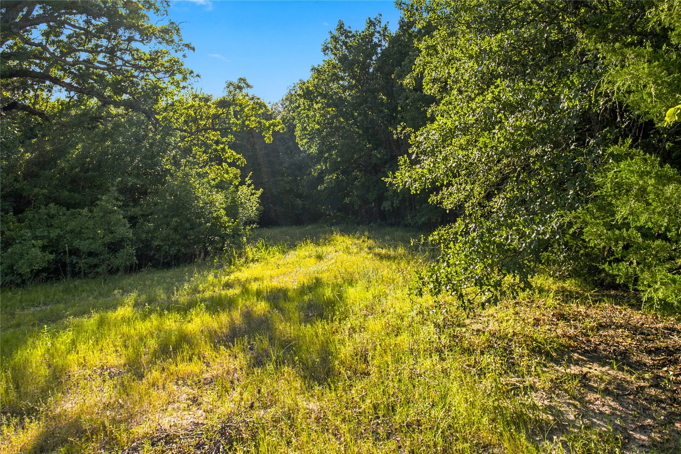 Unimproved Land For Sale in Delta County , 610 County Road 2040, Klondike, Texas 75448, 0, 0, Garage spaces, 0 Sqft, built in 0, mls#21318821, Real Estate Agent in Klondike, Homes For Sale in Delta county, Homes For Sale in Klondike, Realtor in Klondike Texas, Real Estate Brokerage Independent Realty Texas, Luminita Cordes Realtor
