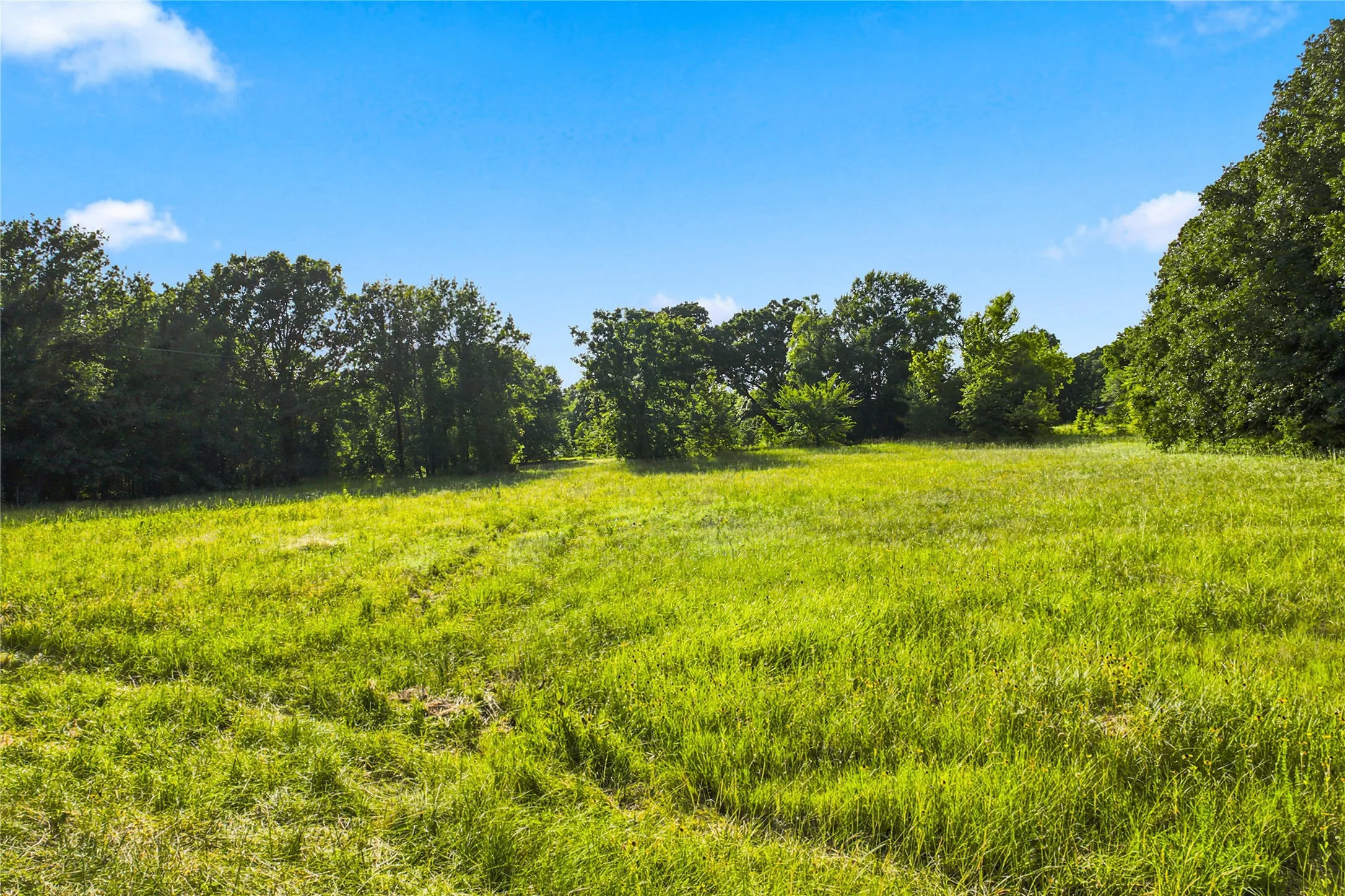 Unimproved Land For Sale in Delta County , 610 County Road 2040, Klondike, Texas 75448, 0, 0, Garage spaces, 0 Sqft, built in 0, mls#21318821, Real Estate Agent in Klondike, Homes For Sale in Delta county, Homes For Sale in Klondike, Realtor in Klondike Texas, Real Estate Brokerage Independent Realty Texas, Luminita Cordes Realtor
