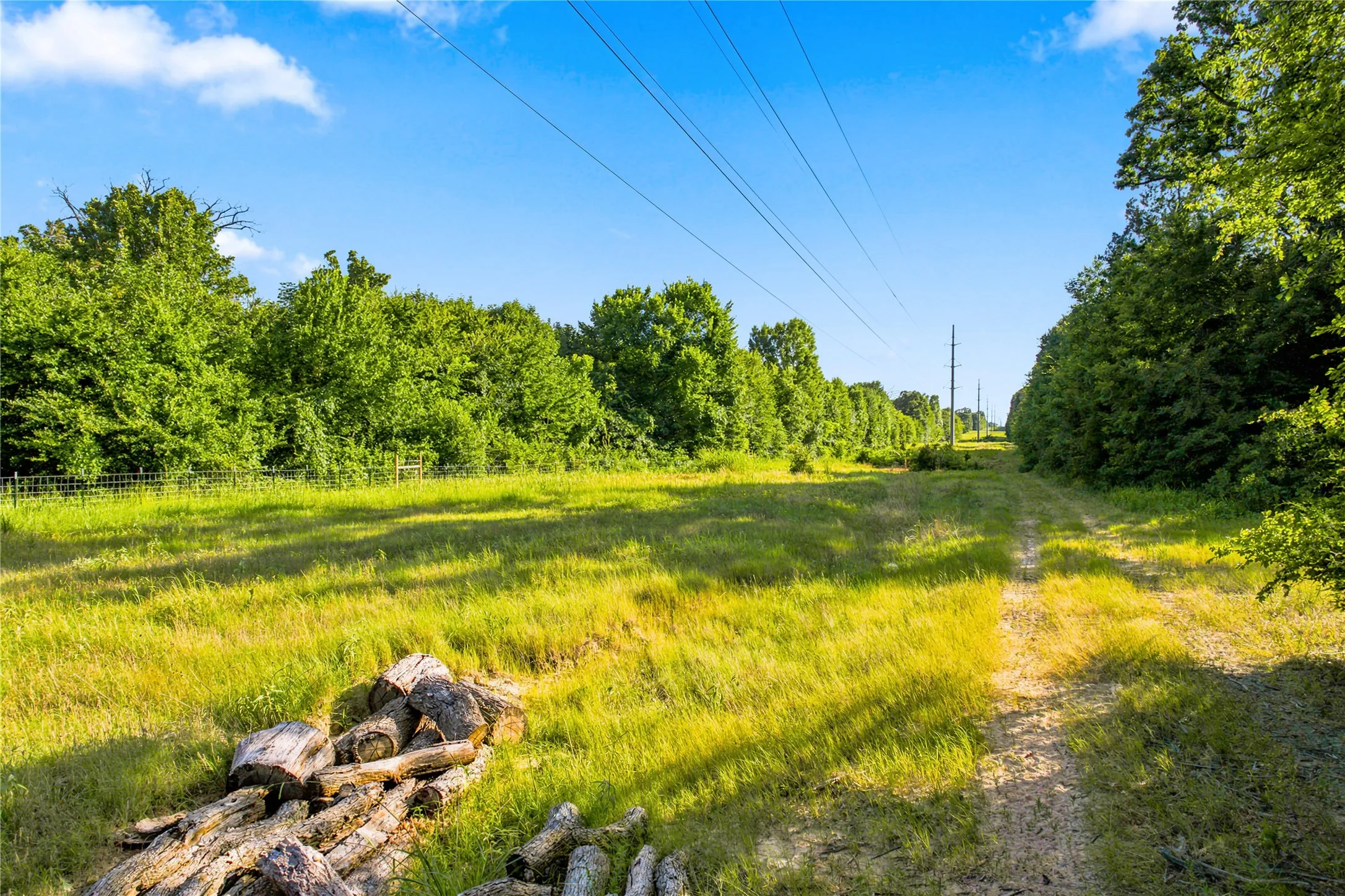Unimproved Land For Sale in Delta County , 610 County Road 2040, Klondike, Texas 75448, 0, 0, Garage spaces, 0 Sqft, built in 0, mls#21318821, Real Estate Agent in Klondike, Homes For Sale in Delta county, Homes For Sale in Klondike, Realtor in Klondike Texas, Real Estate Brokerage Independent Realty Texas, Luminita Cordes Realtor
