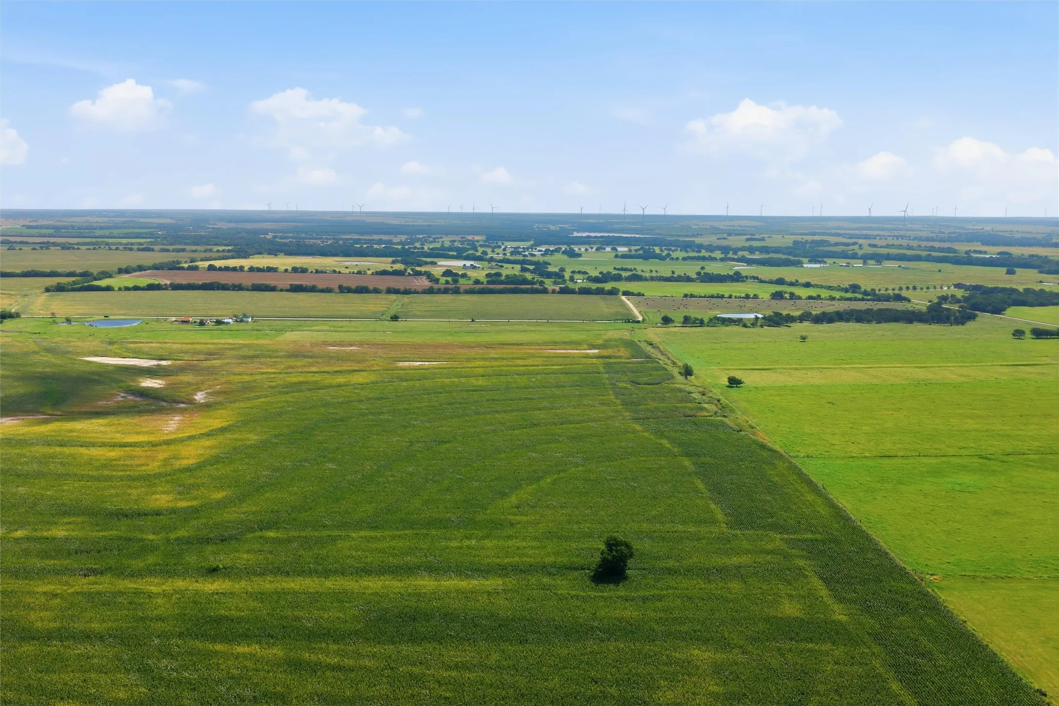 Back View Lots 3-4