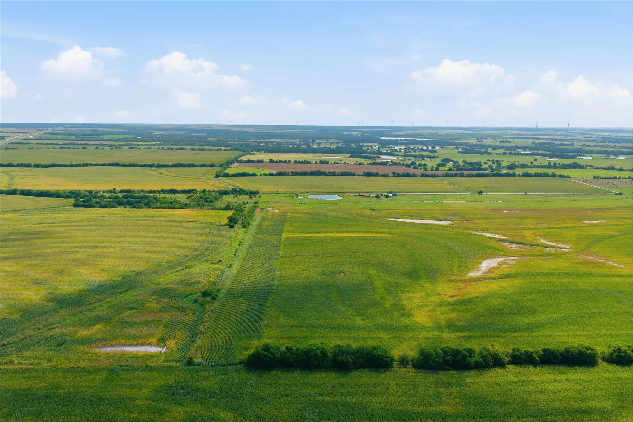 View from the back of the property