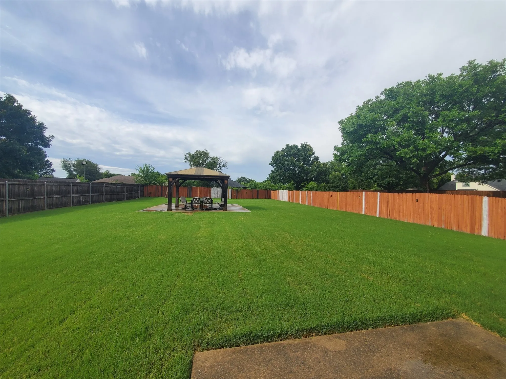 Back yard view!