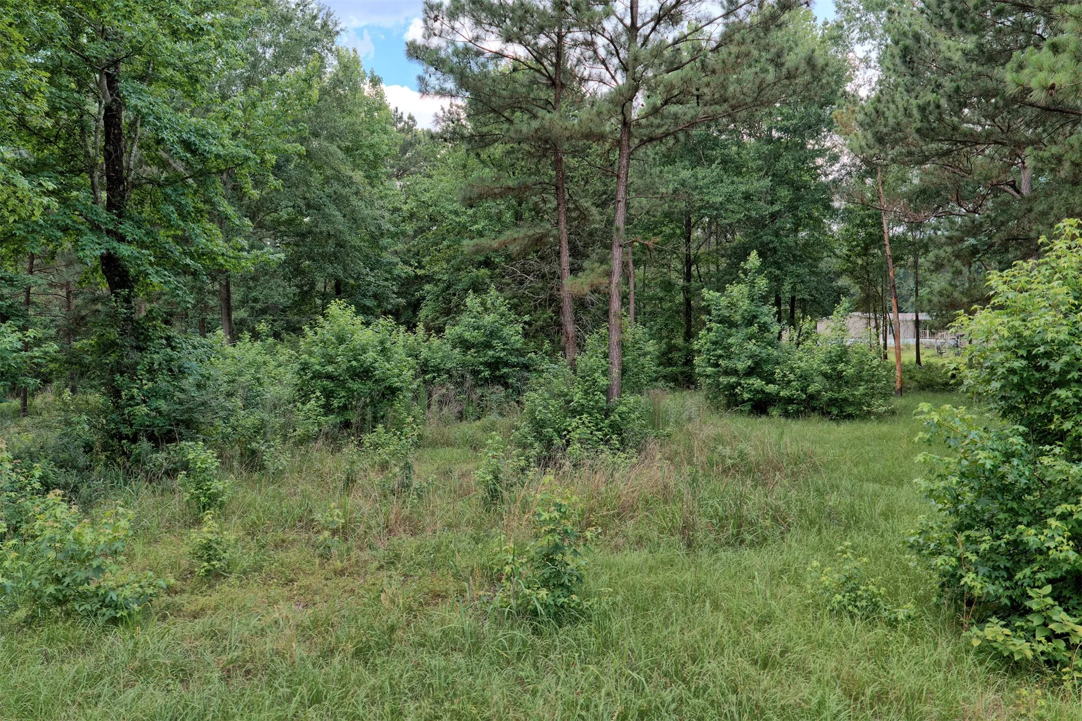 Unimproved Land For Sale in Marion County , 1159 Fm 248, Jefferson, Texas 75657, 0, 0, Garage spaces, 0 Sqft, built in 1939, Price $72,500, mls#21317368, Real Estate Agent in Jefferson, Homes For Sale in Marion county, Homes For Sale in Jefferson, Realtor in Jefferson Texas, Real Estate Brokerage Independent Realty Texas, Luminita Cordes Realtor