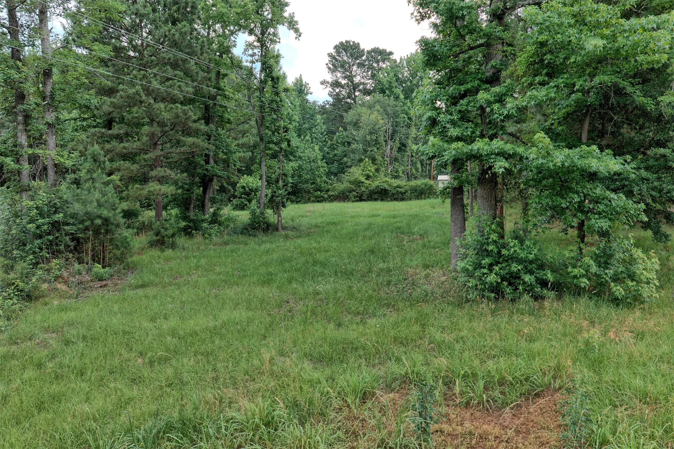Unimproved Land For Sale in Marion County , 1159 Fm 248, Jefferson, Texas 75657, 0, 0, Garage spaces, 0 Sqft, built in 1939, Price $72,500, mls#21317368, Real Estate Agent in Jefferson, Homes For Sale in Marion county, Homes For Sale in Jefferson, Realtor in Jefferson Texas, Real Estate Brokerage Independent Realty Texas, Luminita Cordes Realtor
