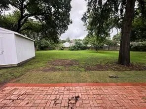View of green lawn with a storage shed