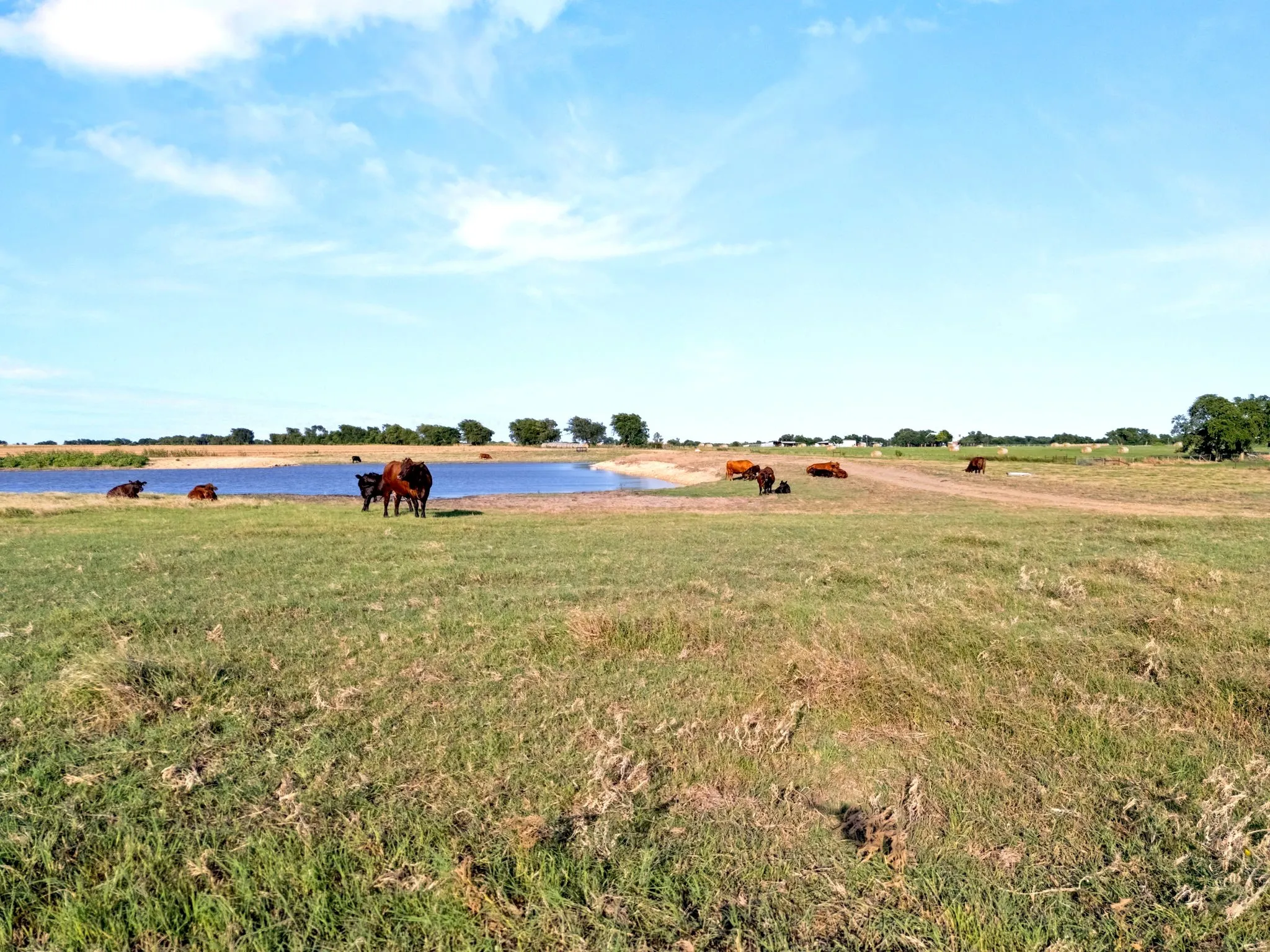 Ranch For Sale in Mc Lennan County , 160 ac. TBD Covered Wagon Trail, Crawford, Texas 76638, 0, 0, Garage spaces, 0 Sqft, built in 0, mls#21319074, Real Estate Agent in Crawford, Homes For Sale in Mc Lennan county, Homes For Sale in Crawford, Realtor in Crawford Texas, Real Estate Brokerage Independent Realty Texas, Luminita Cordes Realtor
