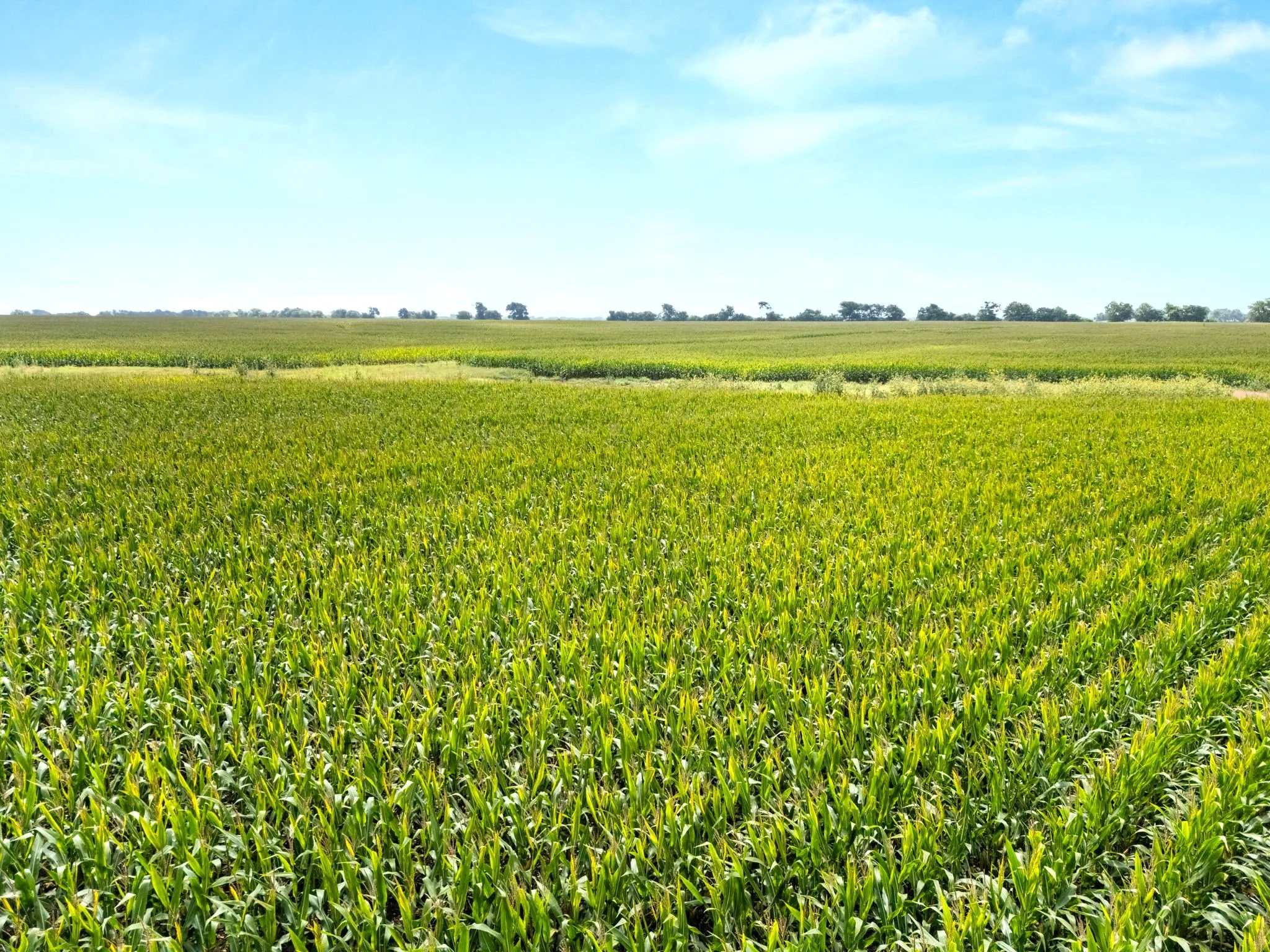 Ranch For Sale in Mc Lennan County , 160 ac. TBD Covered Wagon Trail, Crawford, Texas 76638, 0, 0, Garage spaces, 0 Sqft, built in 0, mls#21319074, Real Estate Agent in Crawford, Homes For Sale in Mc Lennan county, Homes For Sale in Crawford, Realtor in Crawford Texas, Real Estate Brokerage Independent Realty Texas, Luminita Cordes Realtor