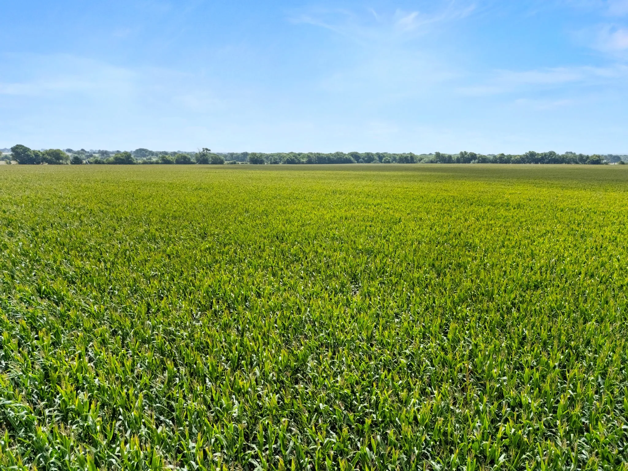 Ranch For Sale in Mc Lennan County , 160 ac. TBD Covered Wagon Trail, Crawford, Texas 76638, 0, 0, Garage spaces, 0 Sqft, built in 0, mls#21319074, Real Estate Agent in Crawford, Homes For Sale in Mc Lennan county, Homes For Sale in Crawford, Realtor in Crawford Texas, Real Estate Brokerage Independent Realty Texas, Luminita Cordes Realtor