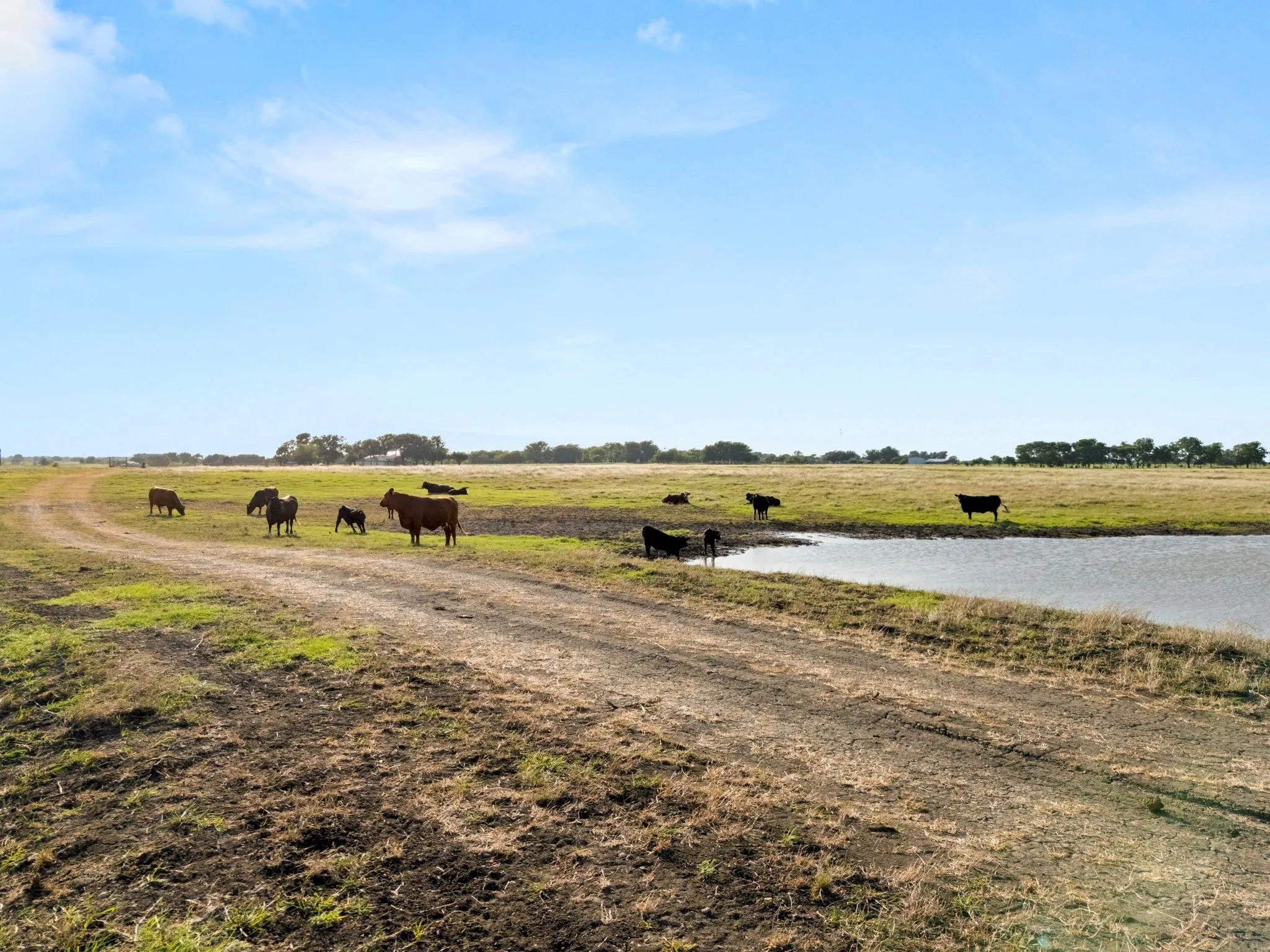 Ranch For Sale in Mc Lennan County , 160 ac. TBD Covered Wagon Trail, Crawford, Texas 76638, 0, 0, Garage spaces, 0 Sqft, built in 0, mls#21319074, Real Estate Agent in Crawford, Homes For Sale in Mc Lennan county, Homes For Sale in Crawford, Realtor in Crawford Texas, Real Estate Brokerage Independent Realty Texas, Luminita Cordes Realtor