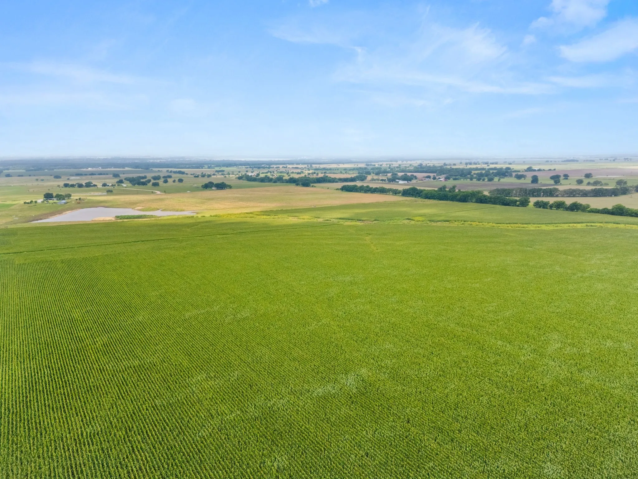 Expansive agricultural land featuring a large cultivated field, a natural pond, and distant treelines