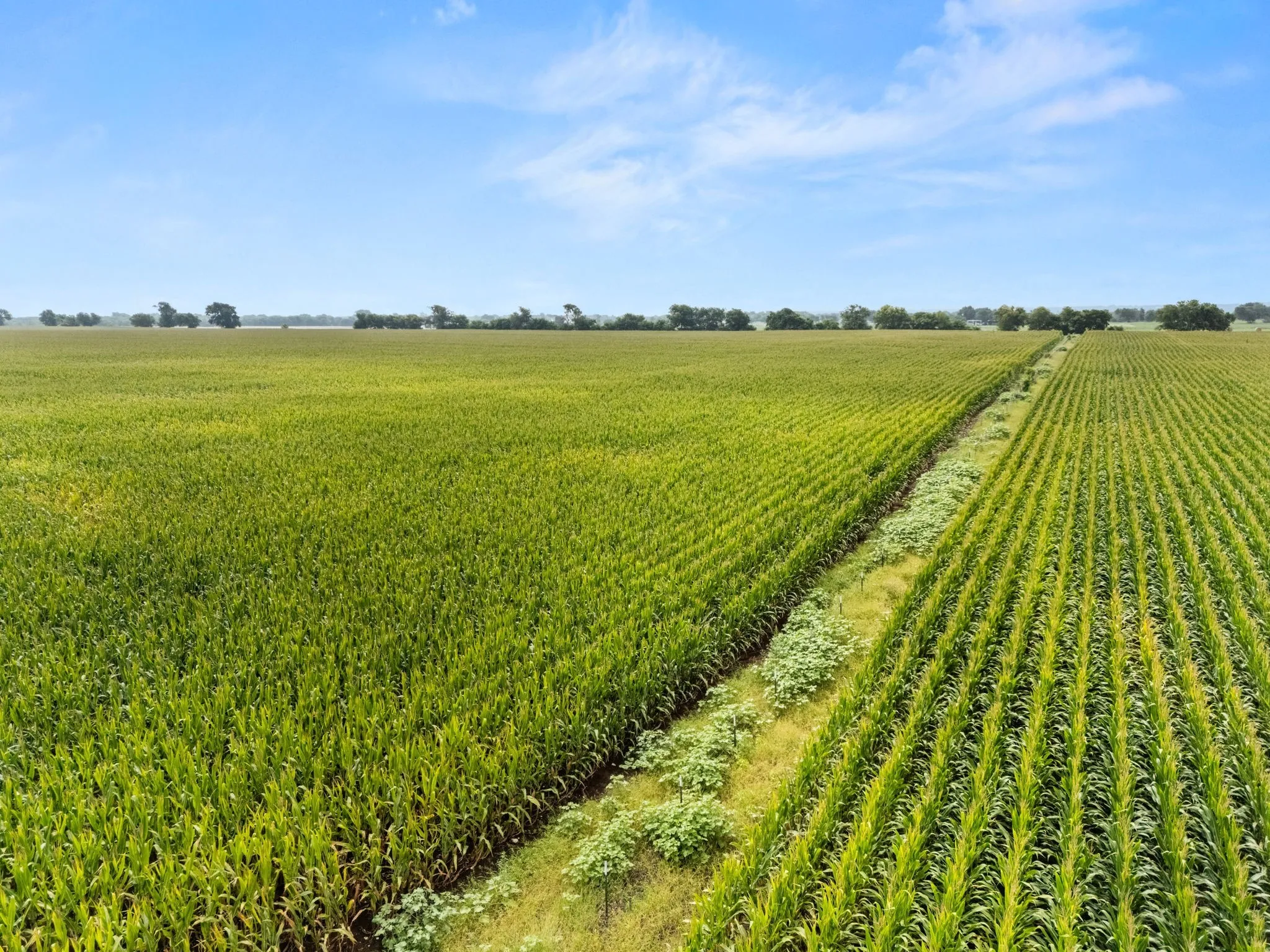 Ranch For Sale in Mc Lennan County , 160 ac. TBD Covered Wagon Trail, Crawford, Texas 76638, 0, 0, Garage spaces, 0 Sqft, built in 0, mls#21319074, Real Estate Agent in Crawford, Homes For Sale in Mc Lennan county, Homes For Sale in Crawford, Realtor in Crawford Texas, Real Estate Brokerage Independent Realty Texas, Luminita Cordes Realtor