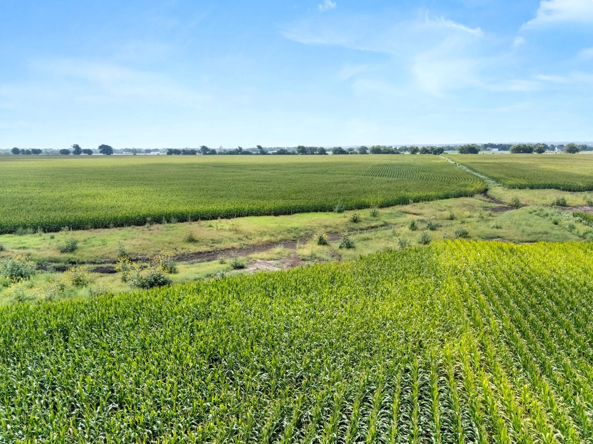 Ranch For Sale in Mc Lennan County , 160 ac. TBD Covered Wagon Trail, Crawford, Texas 76638, 0, 0, Garage spaces, 0 Sqft, built in 0, mls#21319074, Real Estate Agent in Crawford, Homes For Sale in Mc Lennan county, Homes For Sale in Crawford, Realtor in Crawford Texas, Real Estate Brokerage Independent Realty Texas, Luminita Cordes Realtor