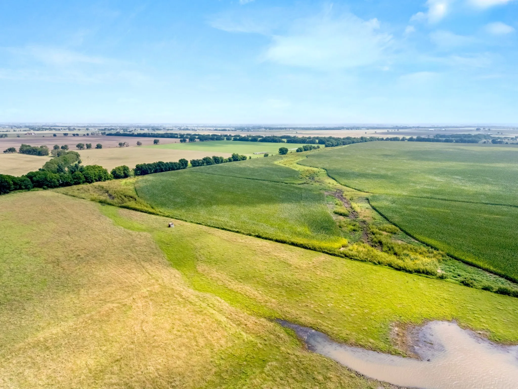 Expansive agricultural land featuring diverse vegetation