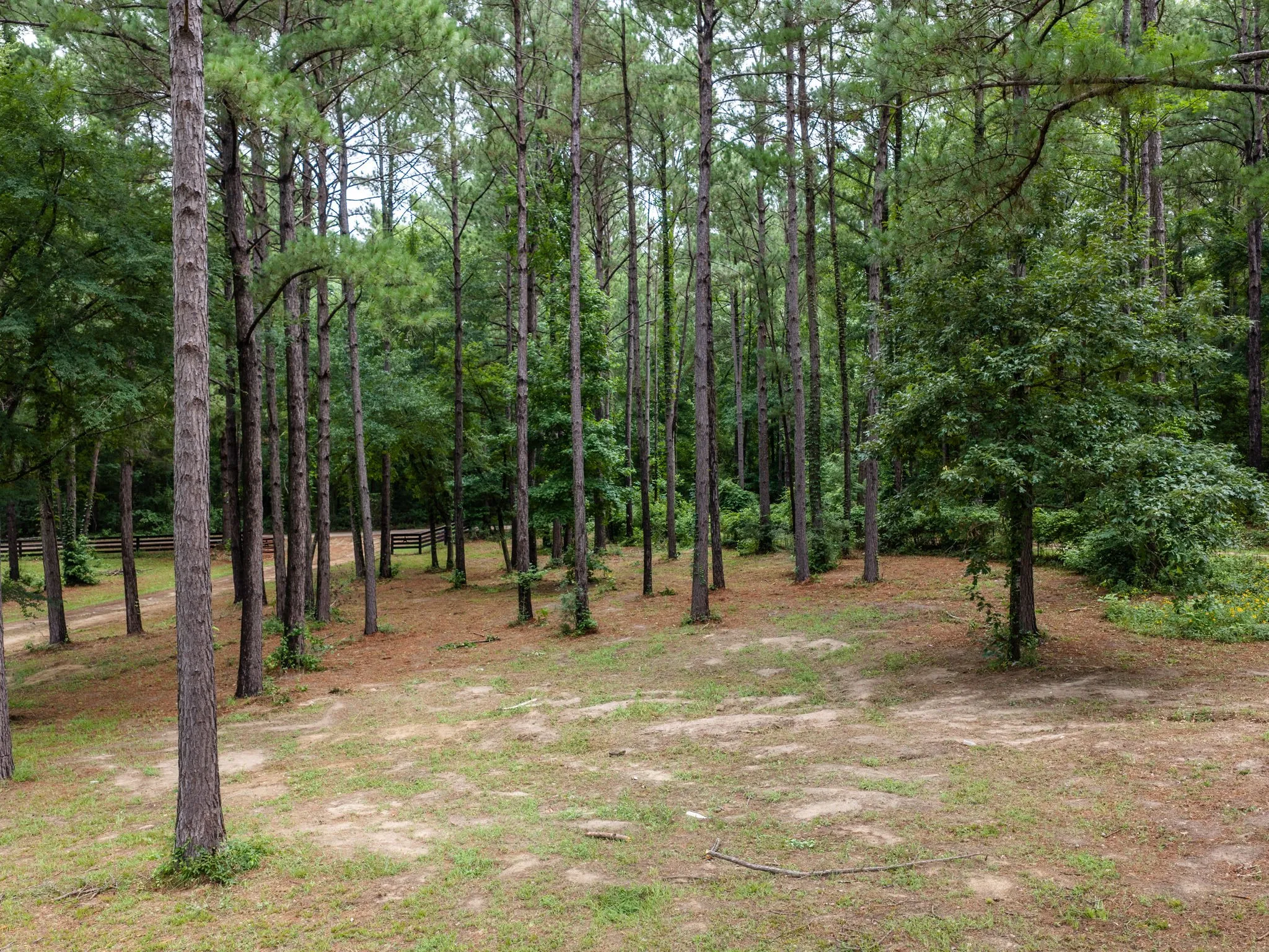 Single Family Residence For Sale in Cherokee County , 4240 County Road 2107, Rusk, Texas 75785, 3 Bedroom, 2 Bathroom, Garage spaces, 3,206 Sqft, built in 2016, mls#21317283, Real Estate Agent in Rusk, Homes For Sale in Cherokee county, Homes For Sale in Rusk, Realtor in Rusk Texas, Real Estate Brokerage Independent Realty Texas, Luminita Cordes Realtor