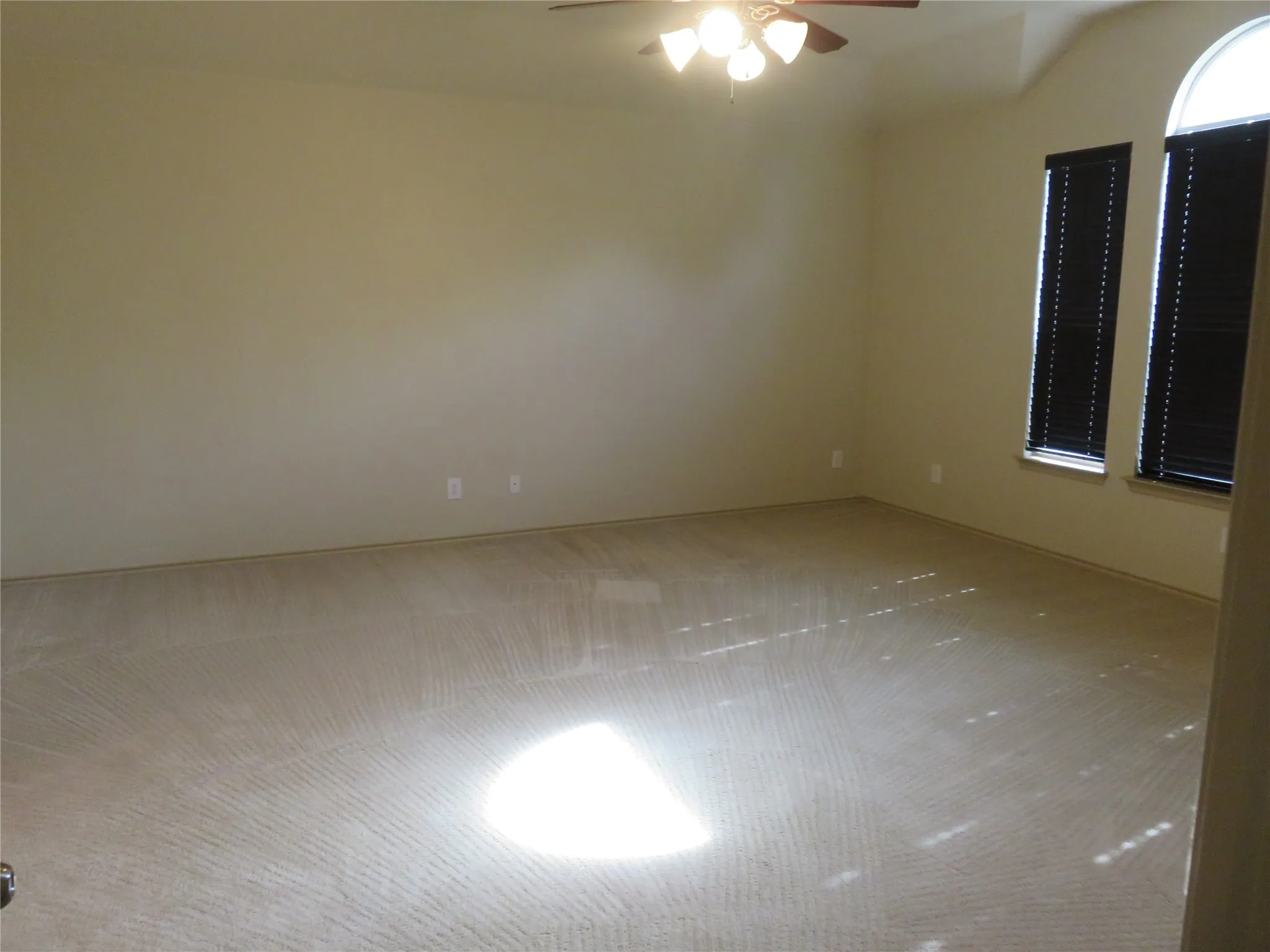 Spacious room featuring neutral carpet flooring, light-colored walls, and a ceiling fan with integrated lighting