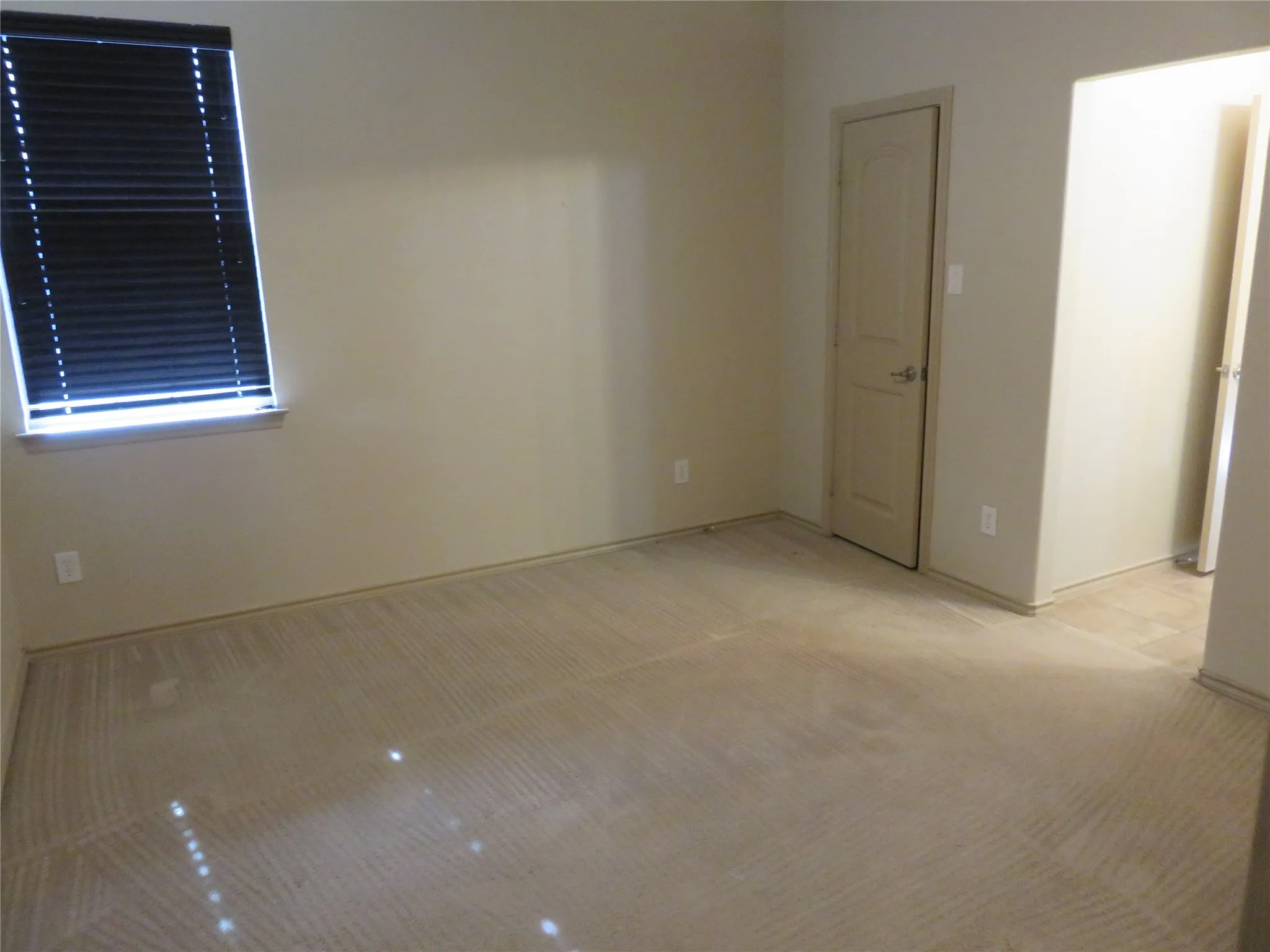 Carpeted room featuring a window with horizontal blinds, a panel door with a silver handle, and light-colored walls
