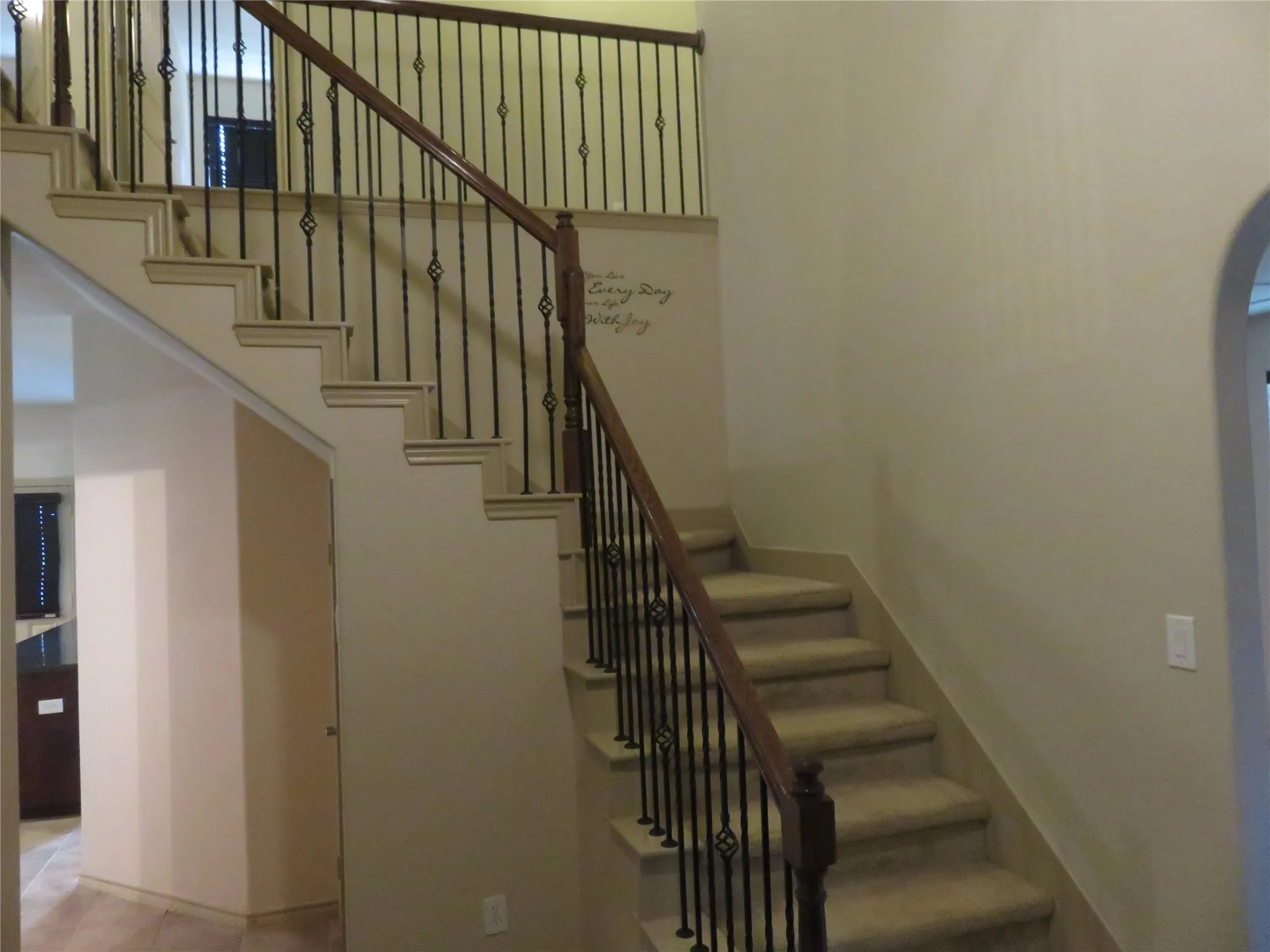 Dual-level staircase featuring carpeted treads and risers, wrought iron balusters with decorative elements, and a wood-finish handrail