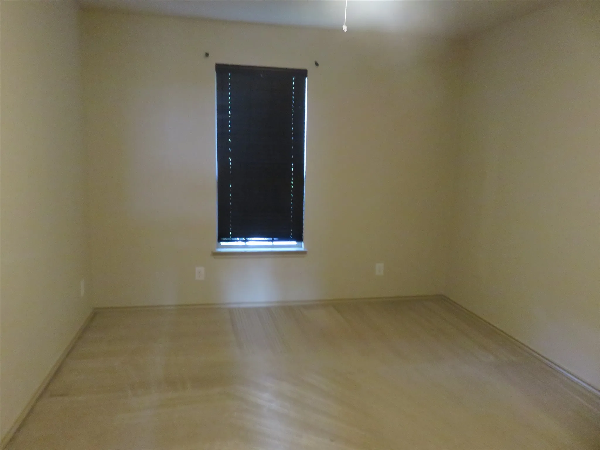 Neutral-toned walls complement the light-colored carpeting