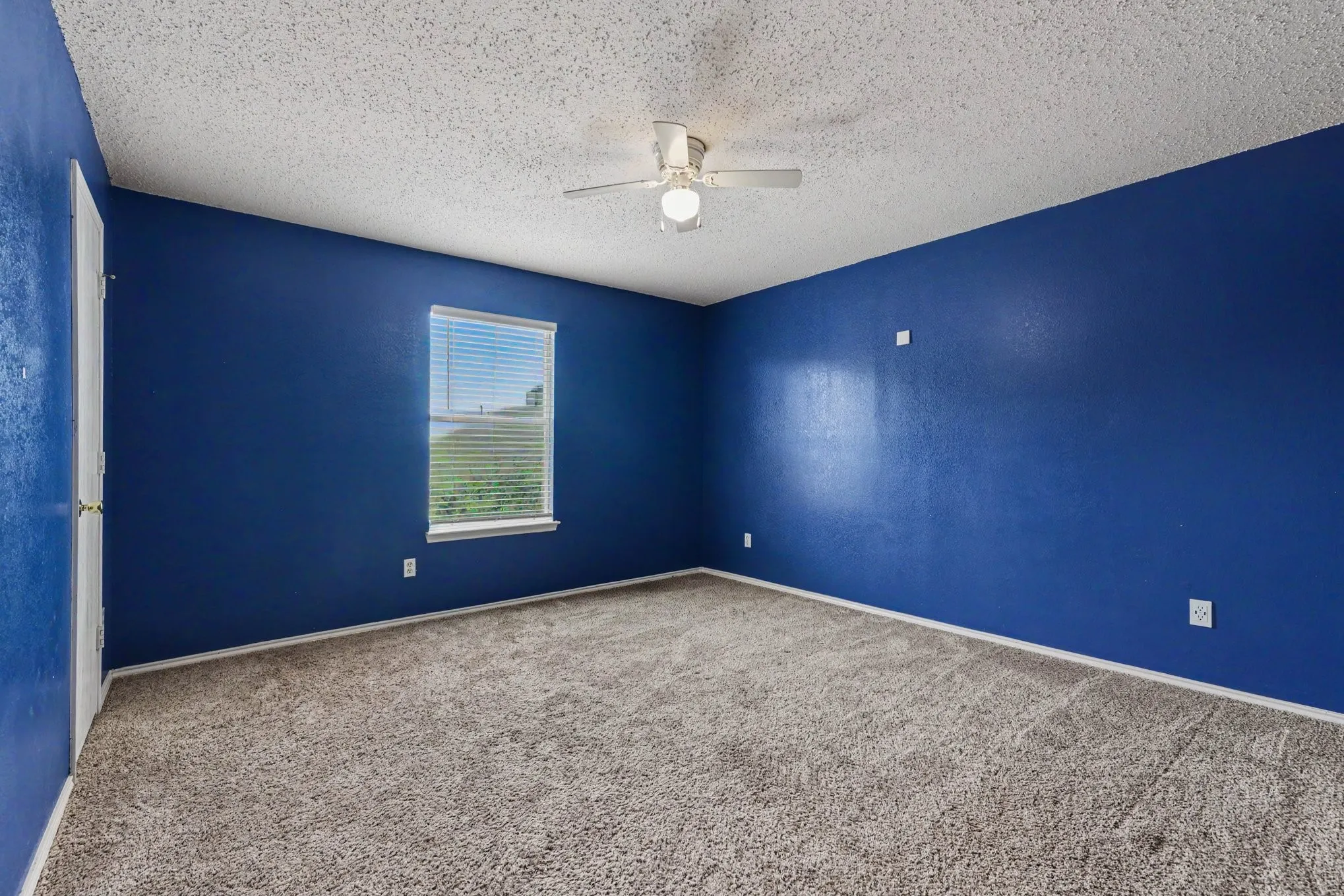 Spacious room featuring textured blue walls, light brown carpet, and a ceiling fan